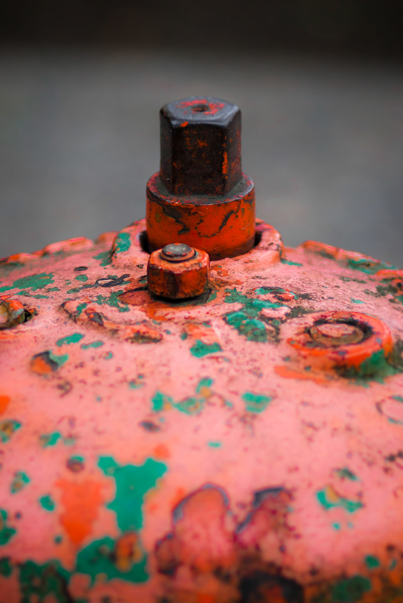 Fire Hydrant #13