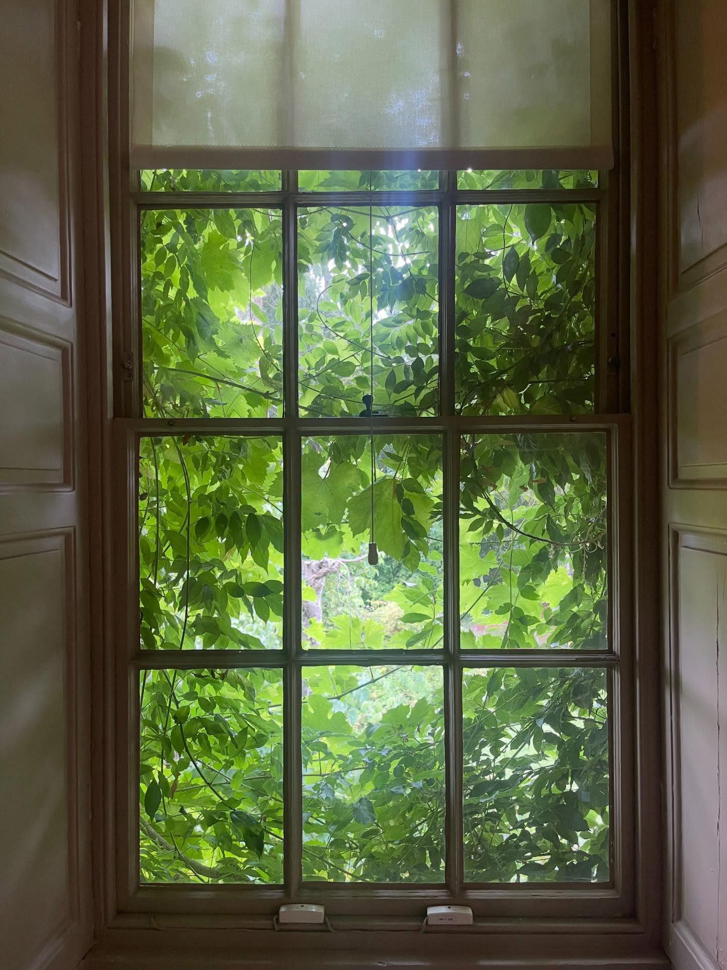 Ruth Malone - Darwin’s House