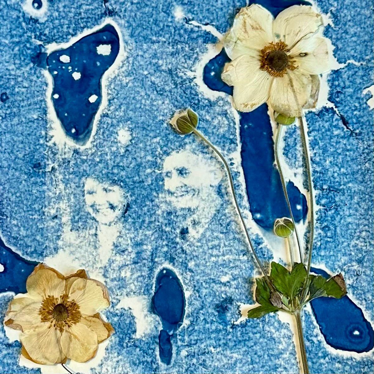 Zoe Wright