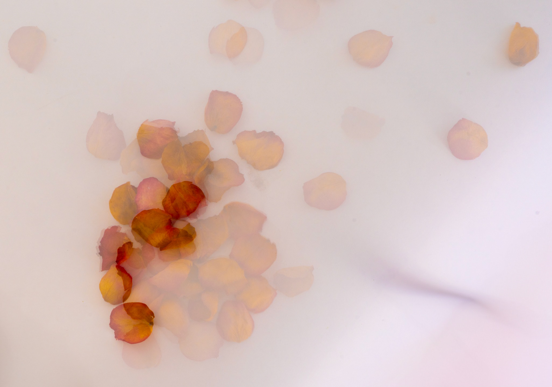Mary Kyd - Wolfville, Nova Scotia (Studio)