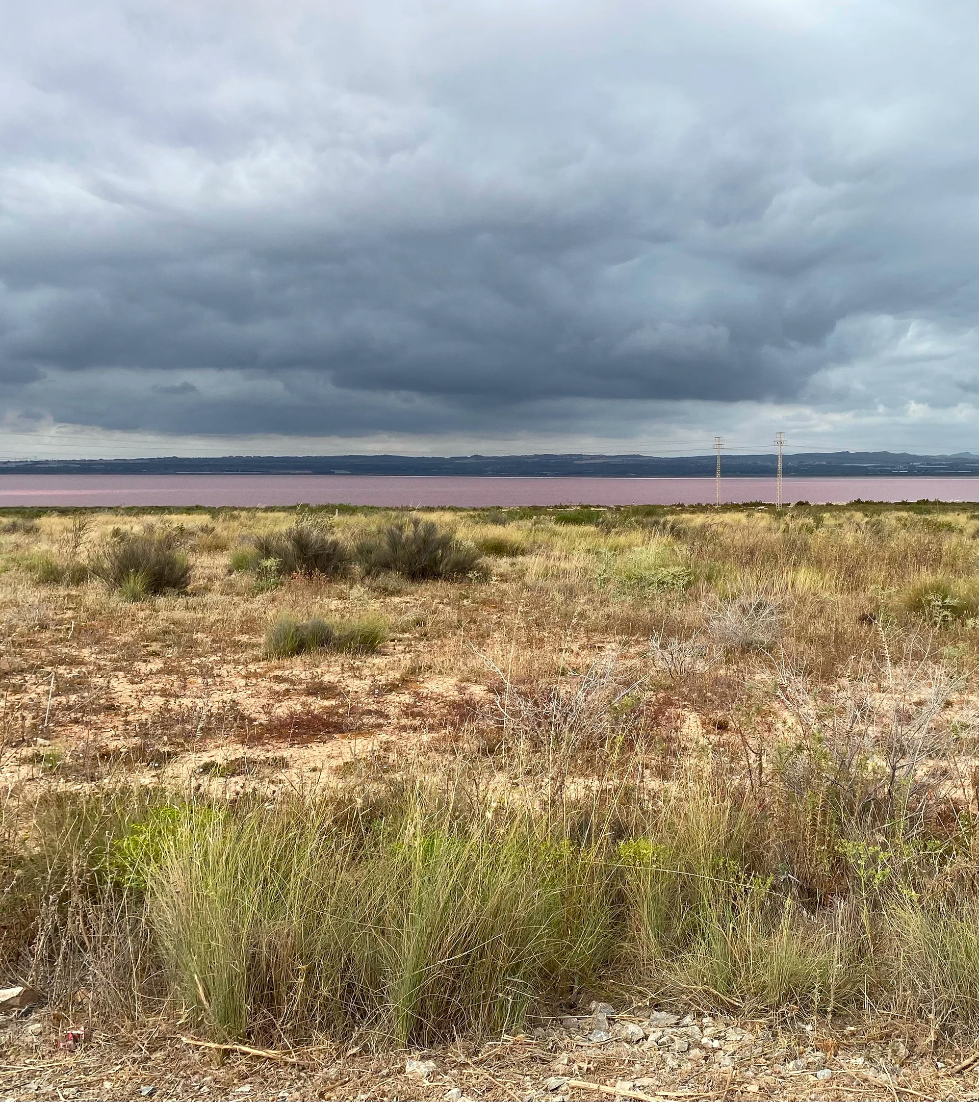 Nicky Eastaugh - Laguna Rosa de Torrevieja
