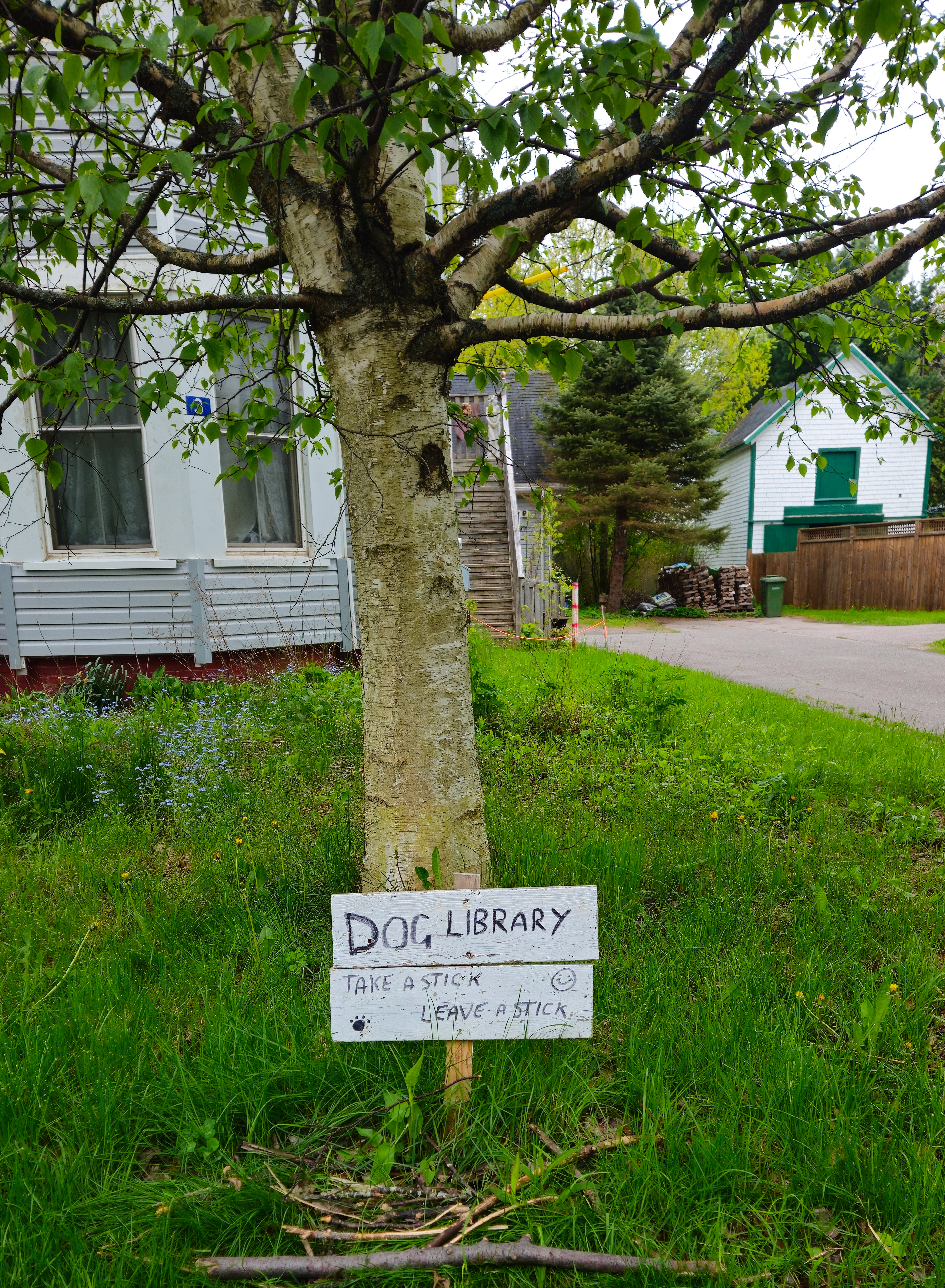 Mary Kyd - Wolfville, Nova Scotia
