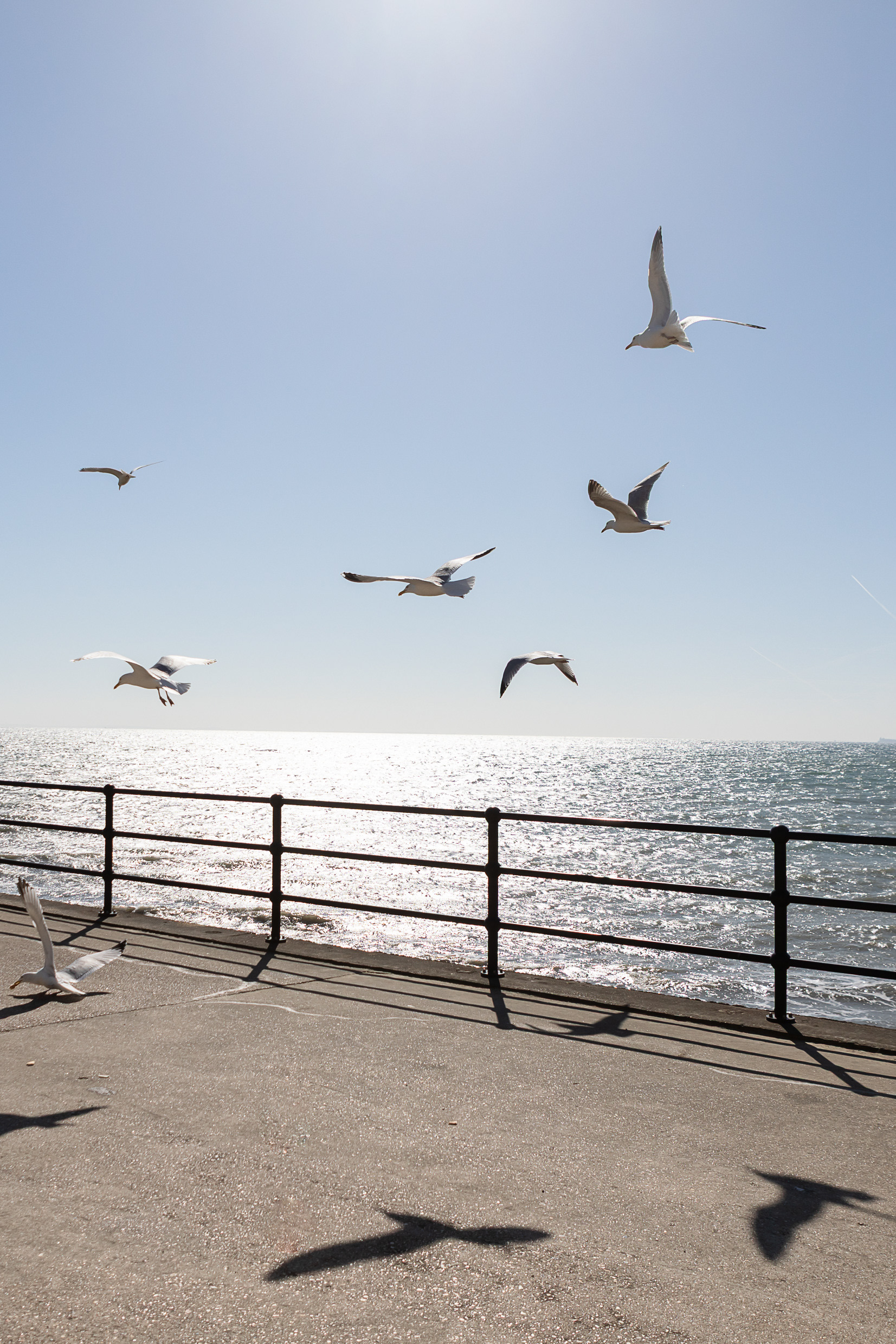 Catherine Smith - Folkestone, Kent