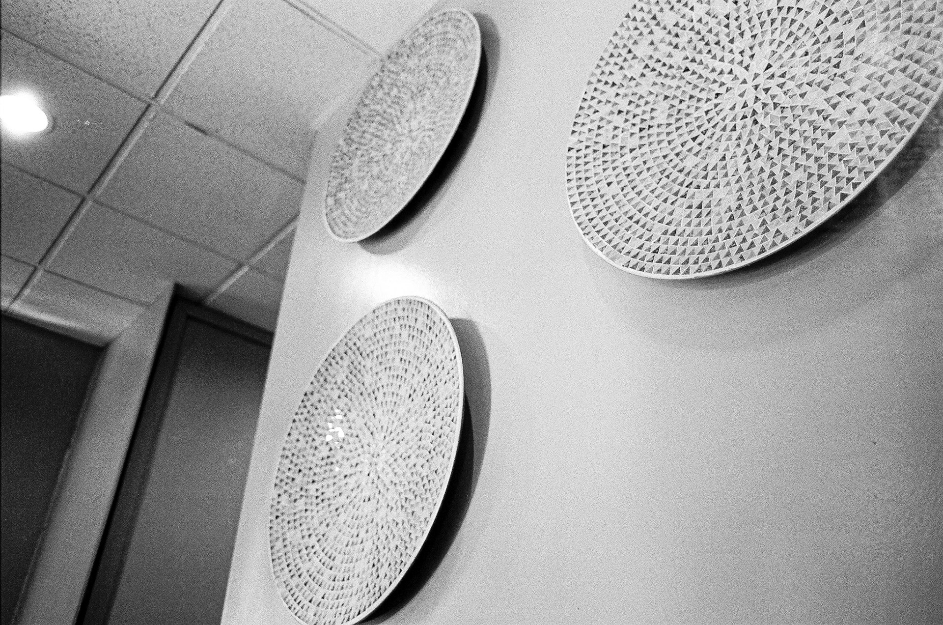 Arista Pan 100