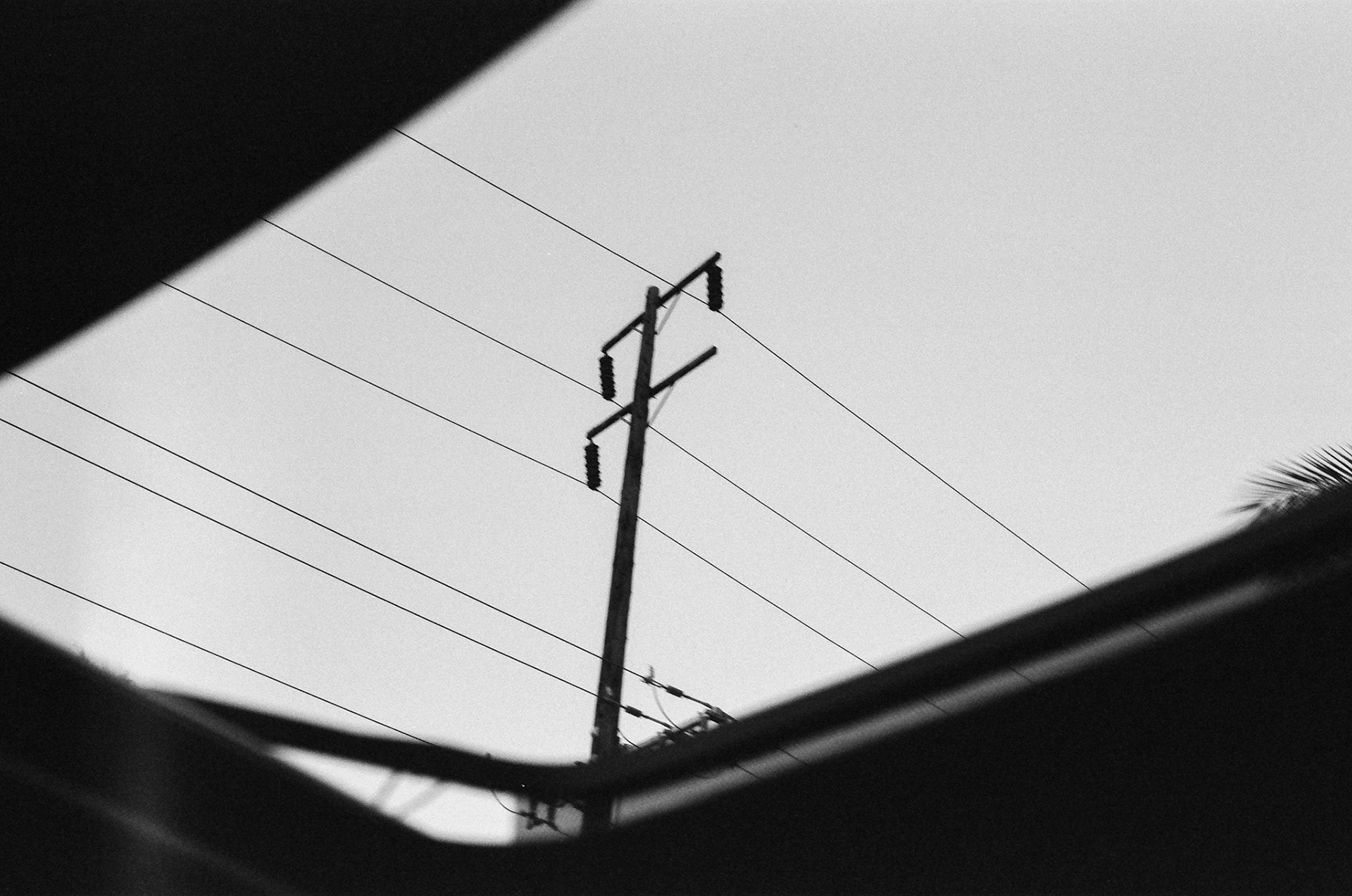 Arista Pan 100