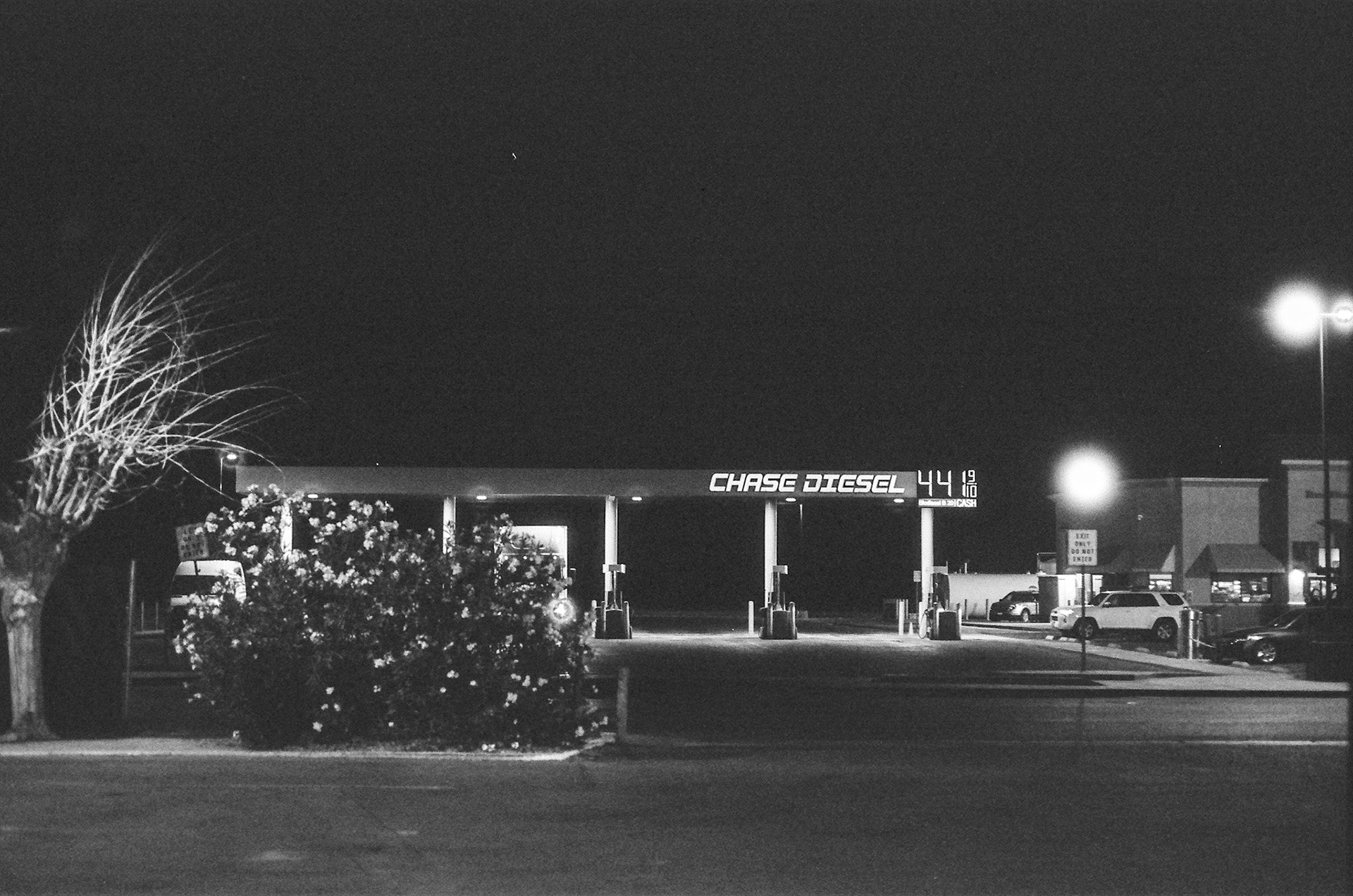 Arista Pan 100