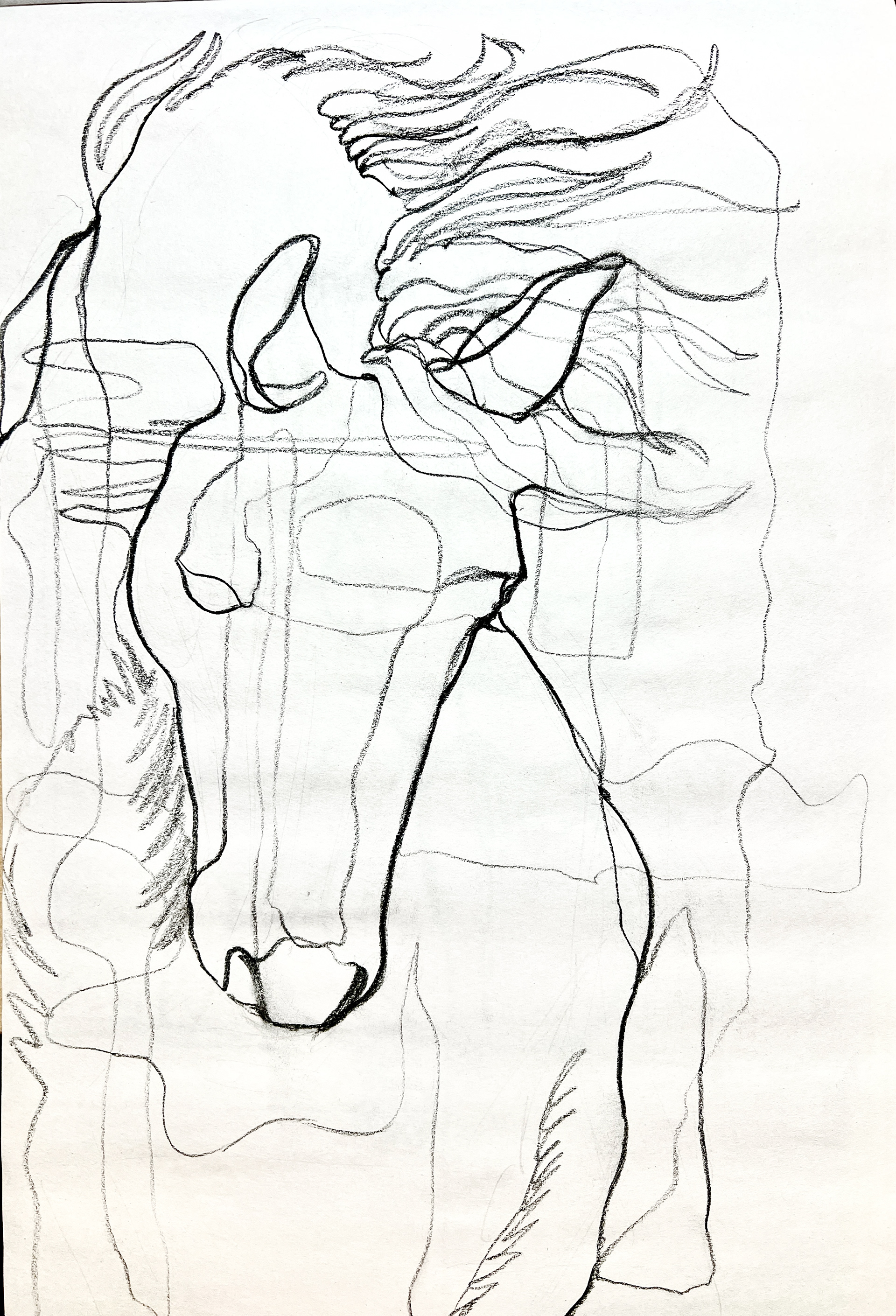 horse(charcoal, 2022)