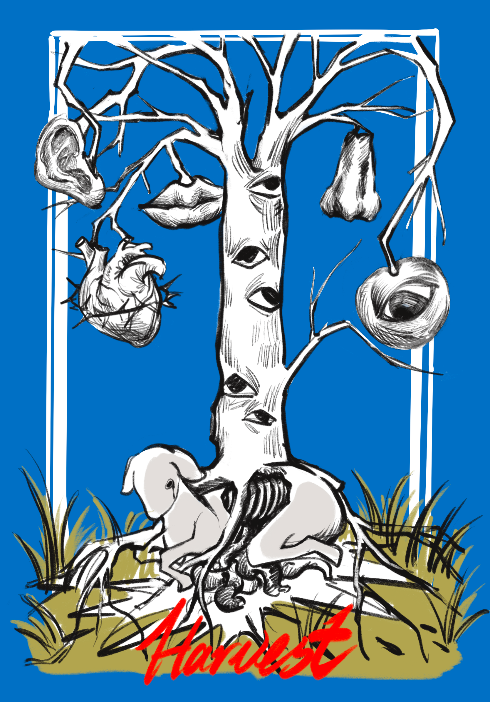 harvest(digital drawing 2024)
