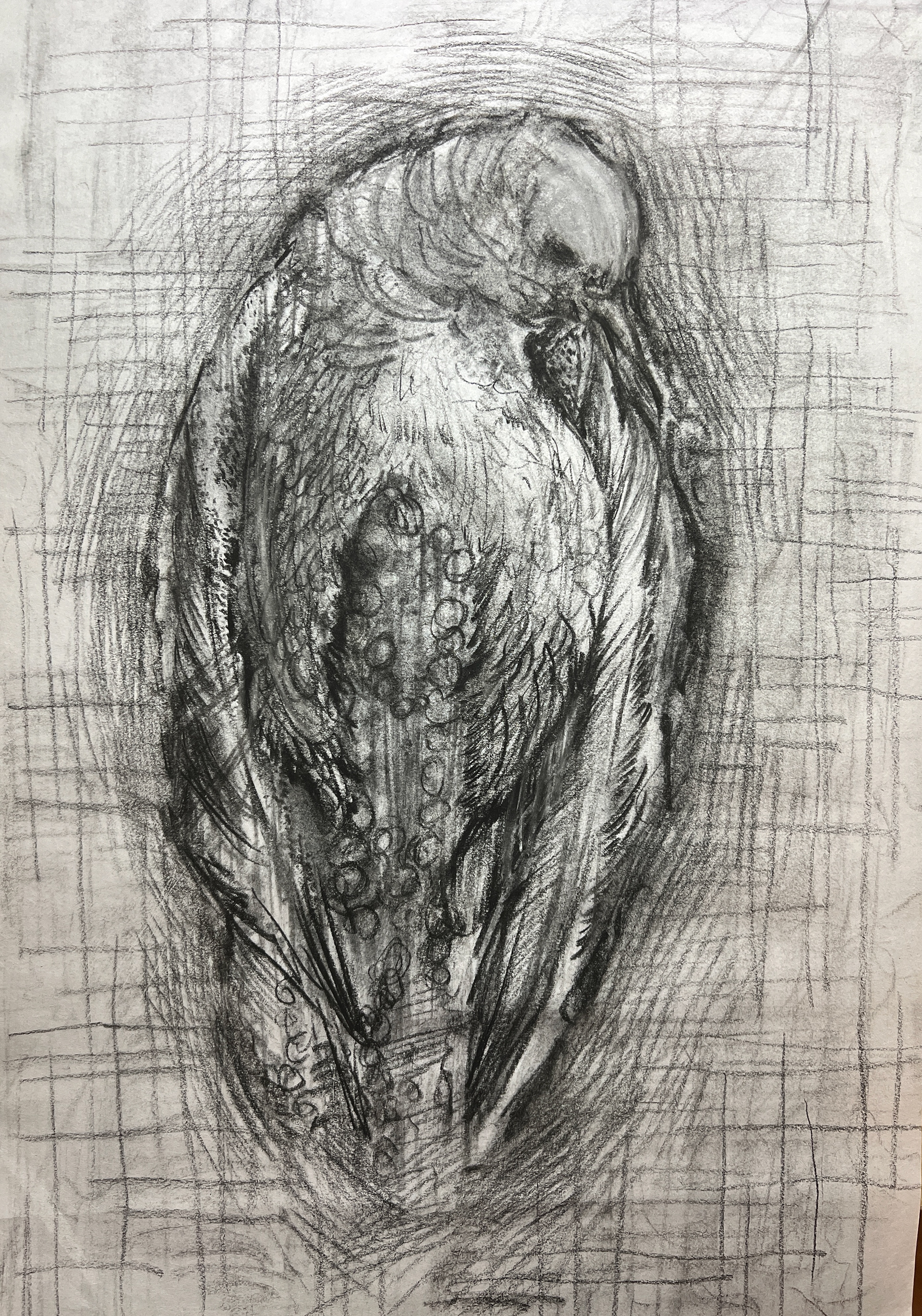 treasure(charcoal, 2022)
