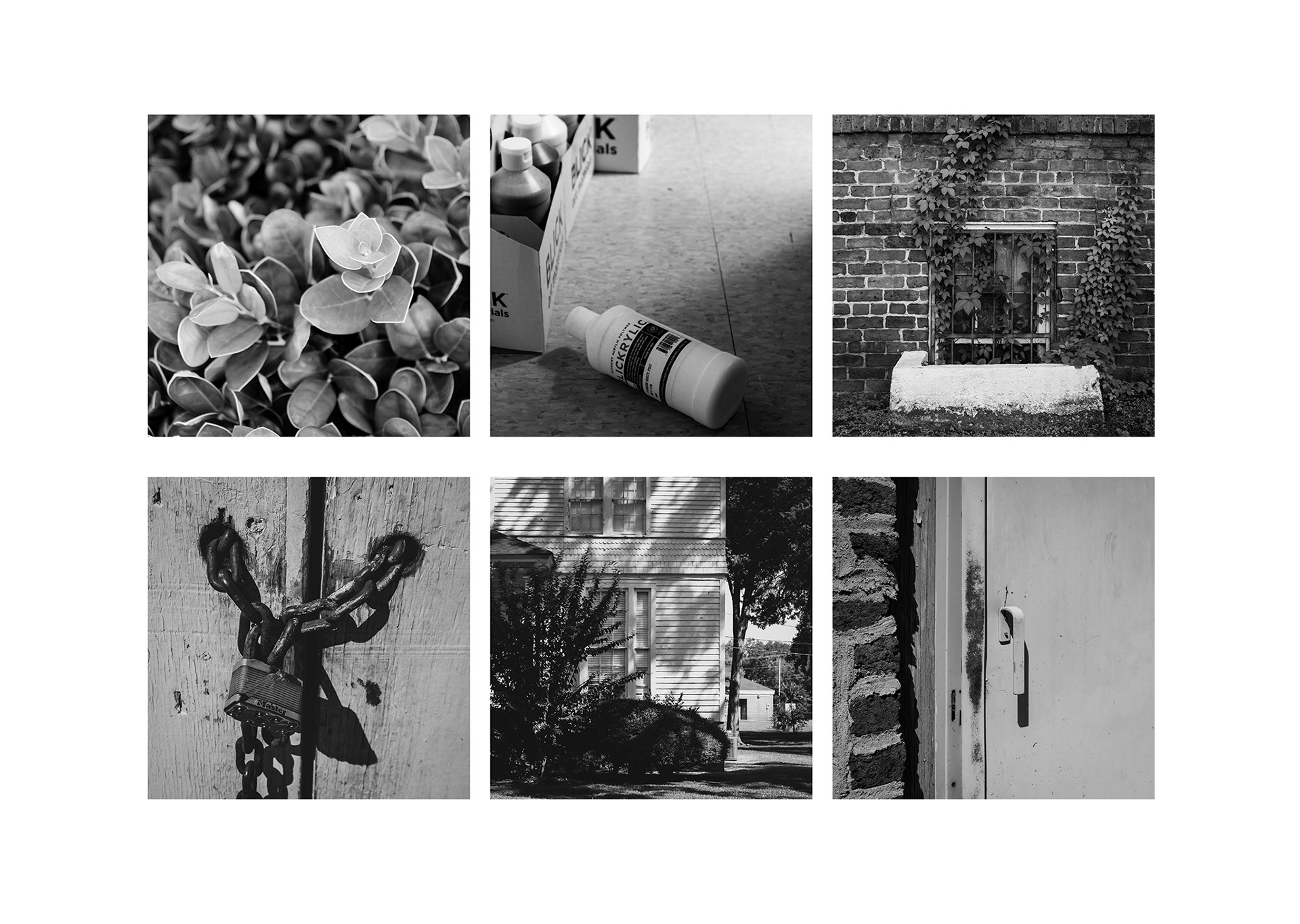 Sophia Schallmo, High Contrast Grid