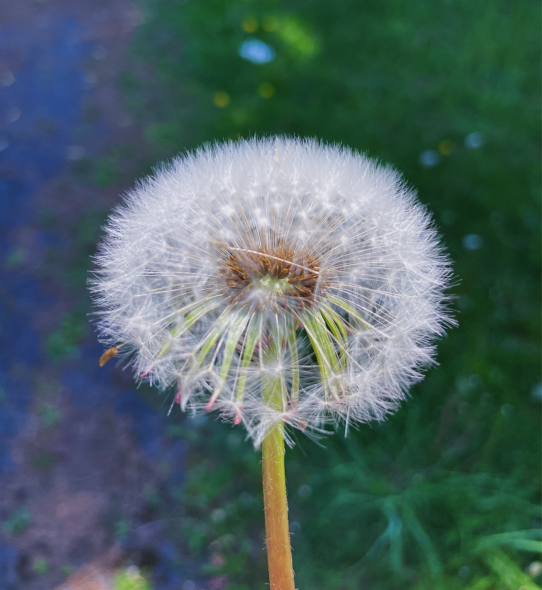 🌬️🌱