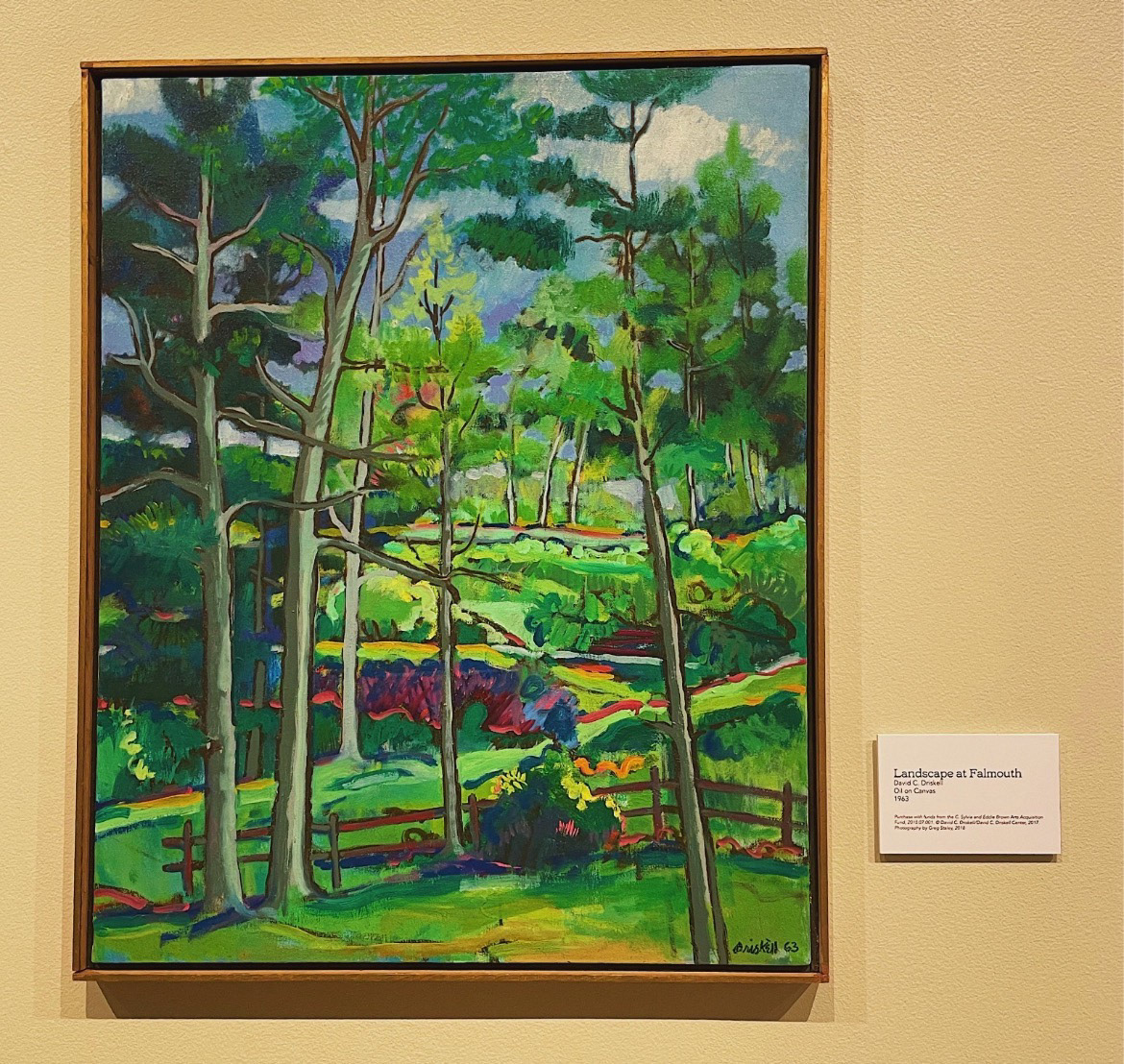 🌳🎨