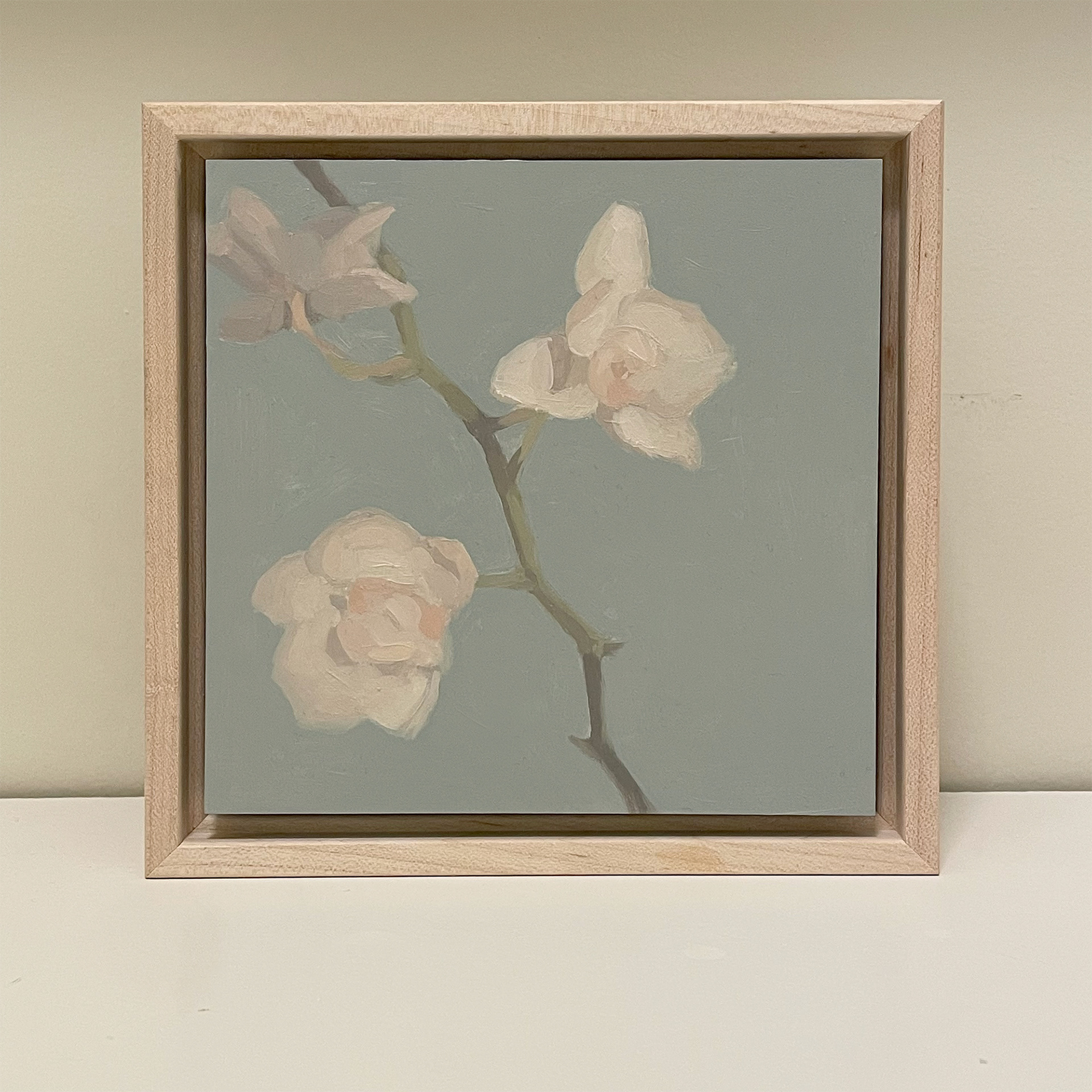 Orchids