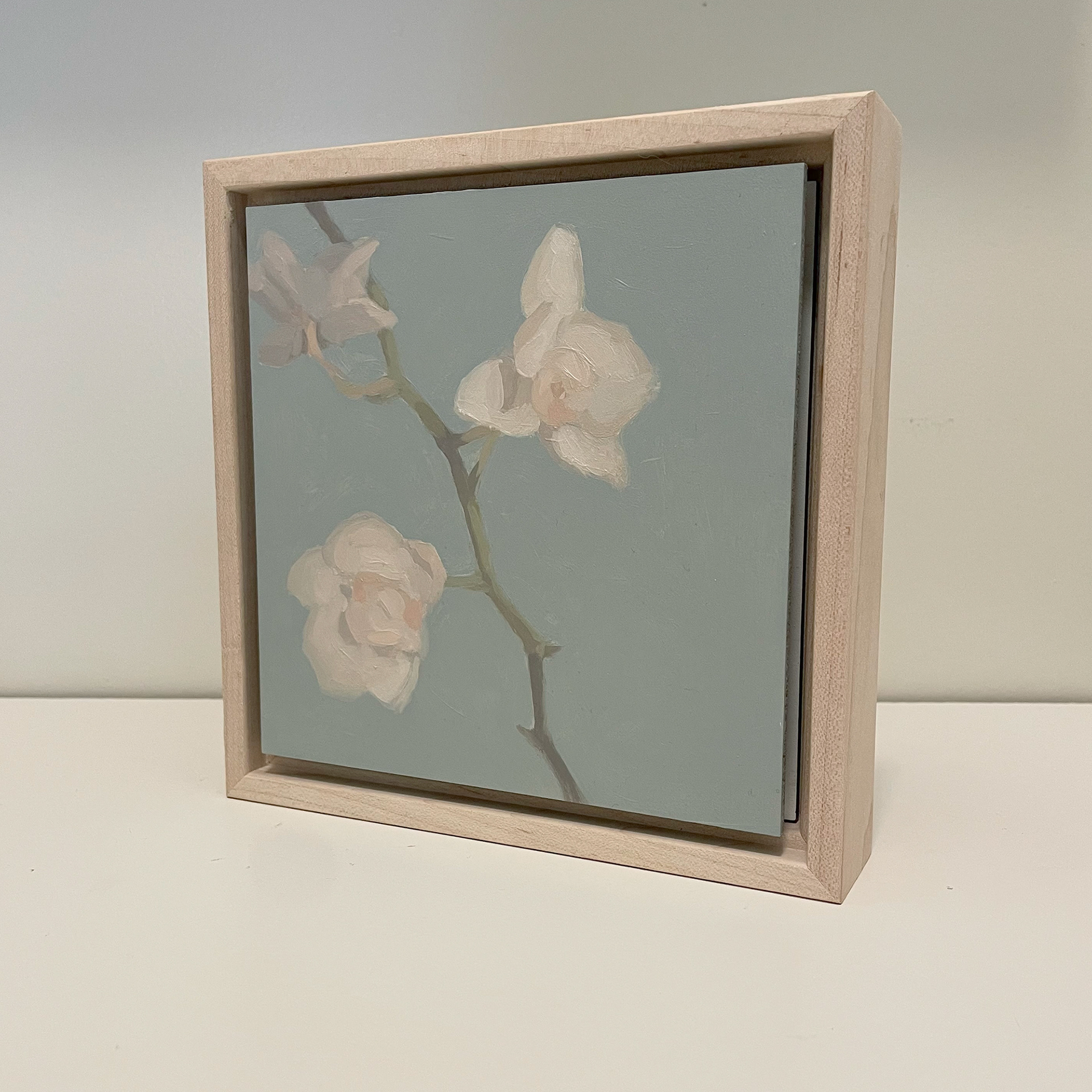 Orchids