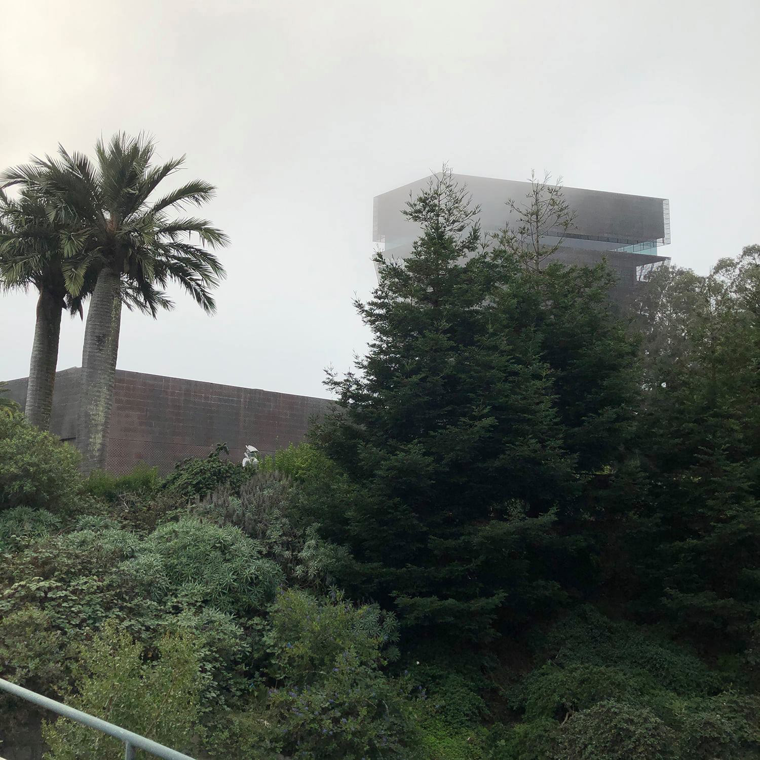 The de Young Museum