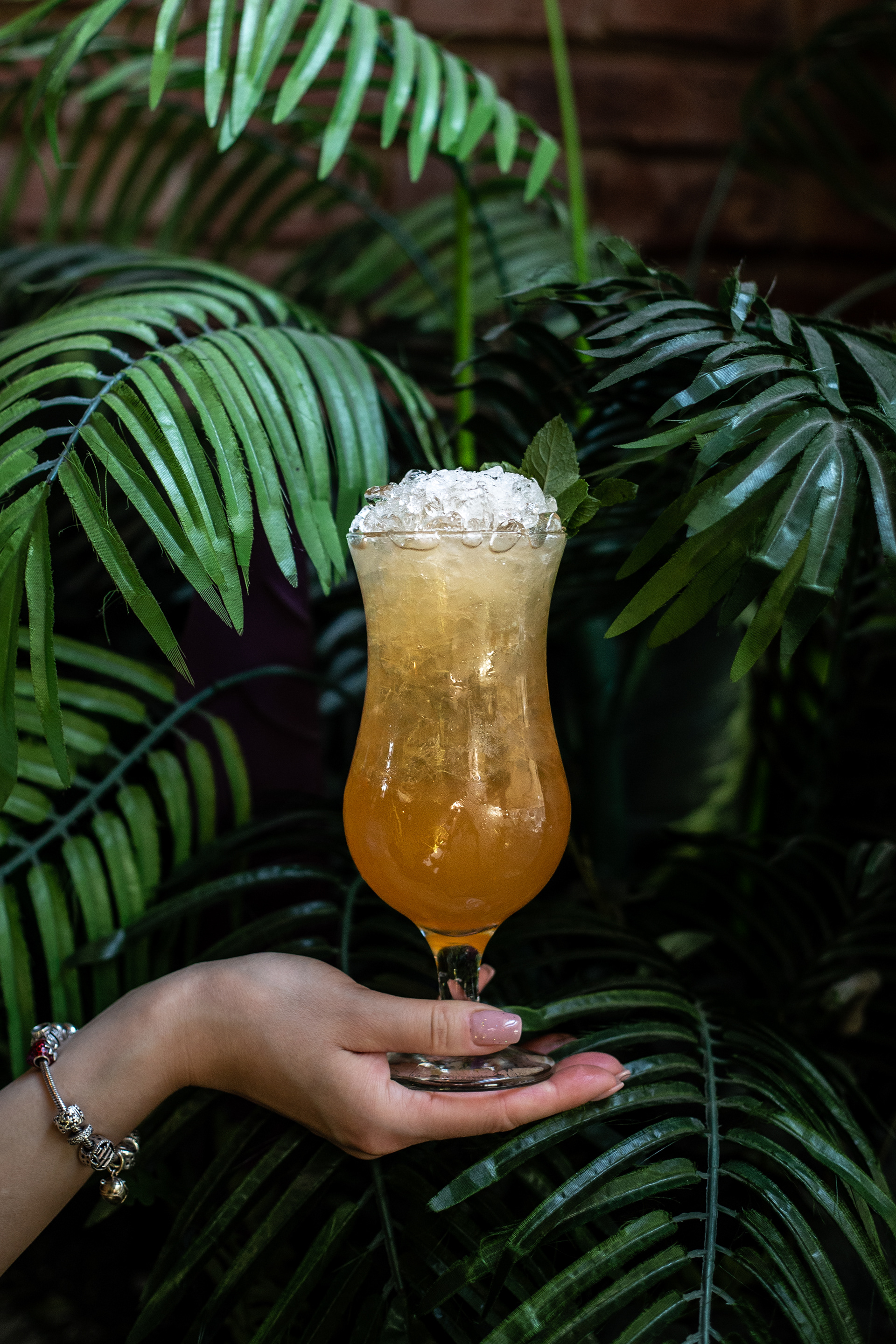 Punkt Widzenia, Katowice