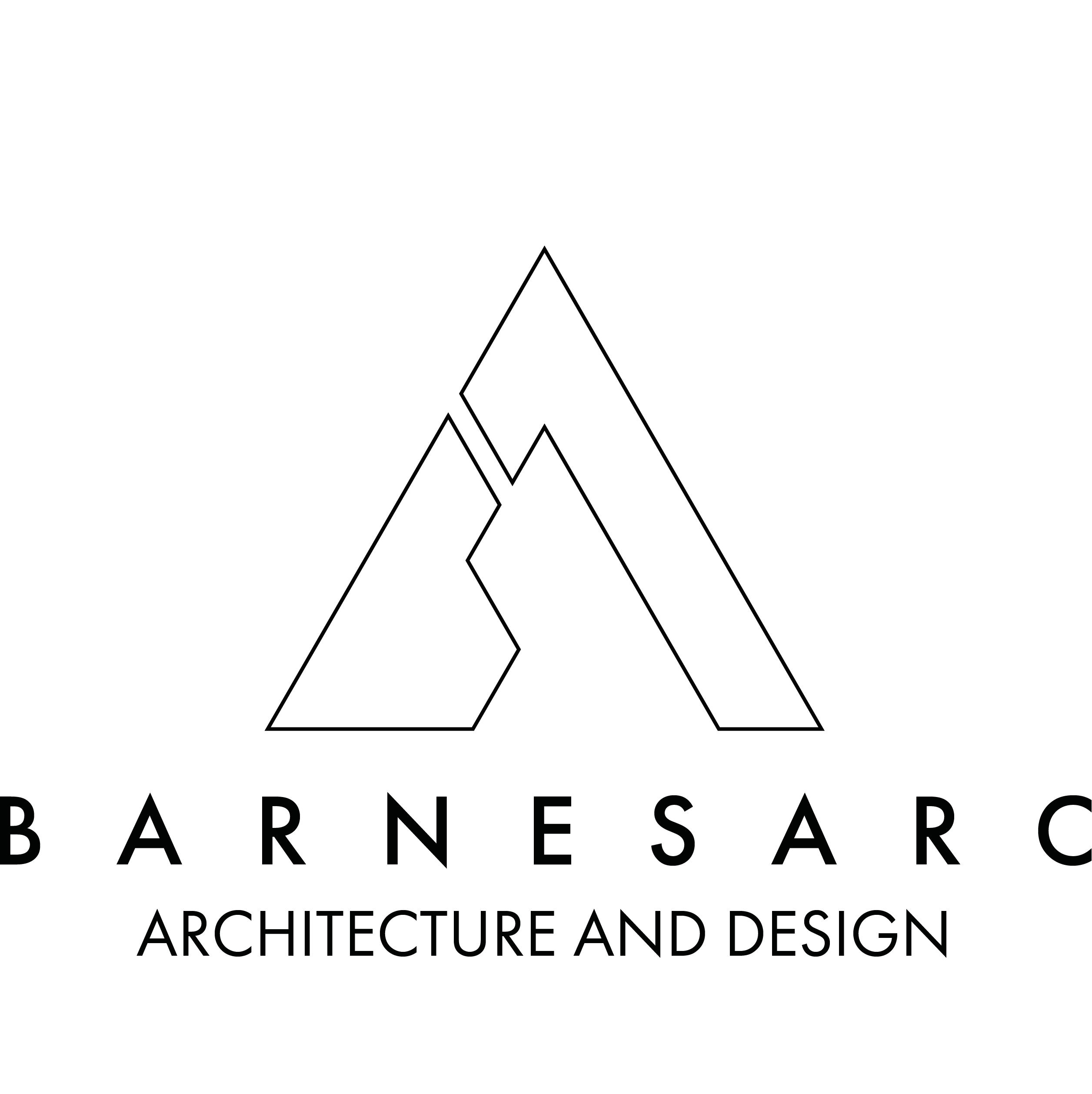 Barnes Arc