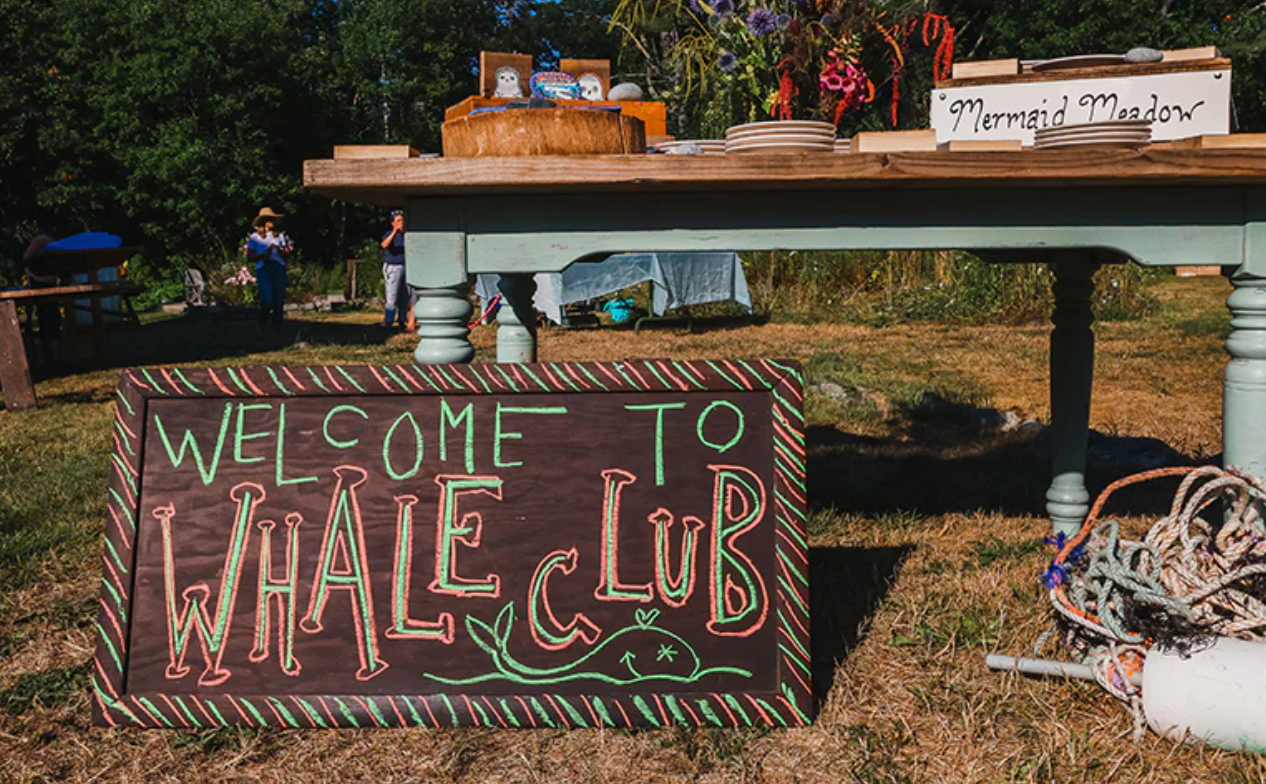 Several non-profits and attractions set up in the expansive yard of the gallery/store