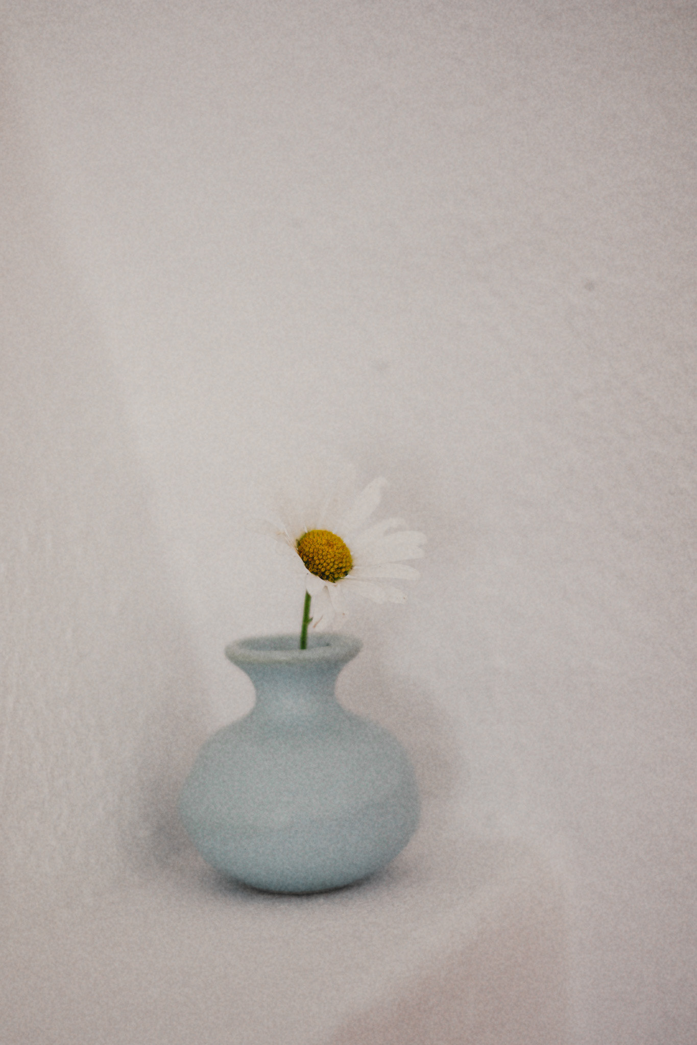 Prästkragen. Print 30x40 matt papper  