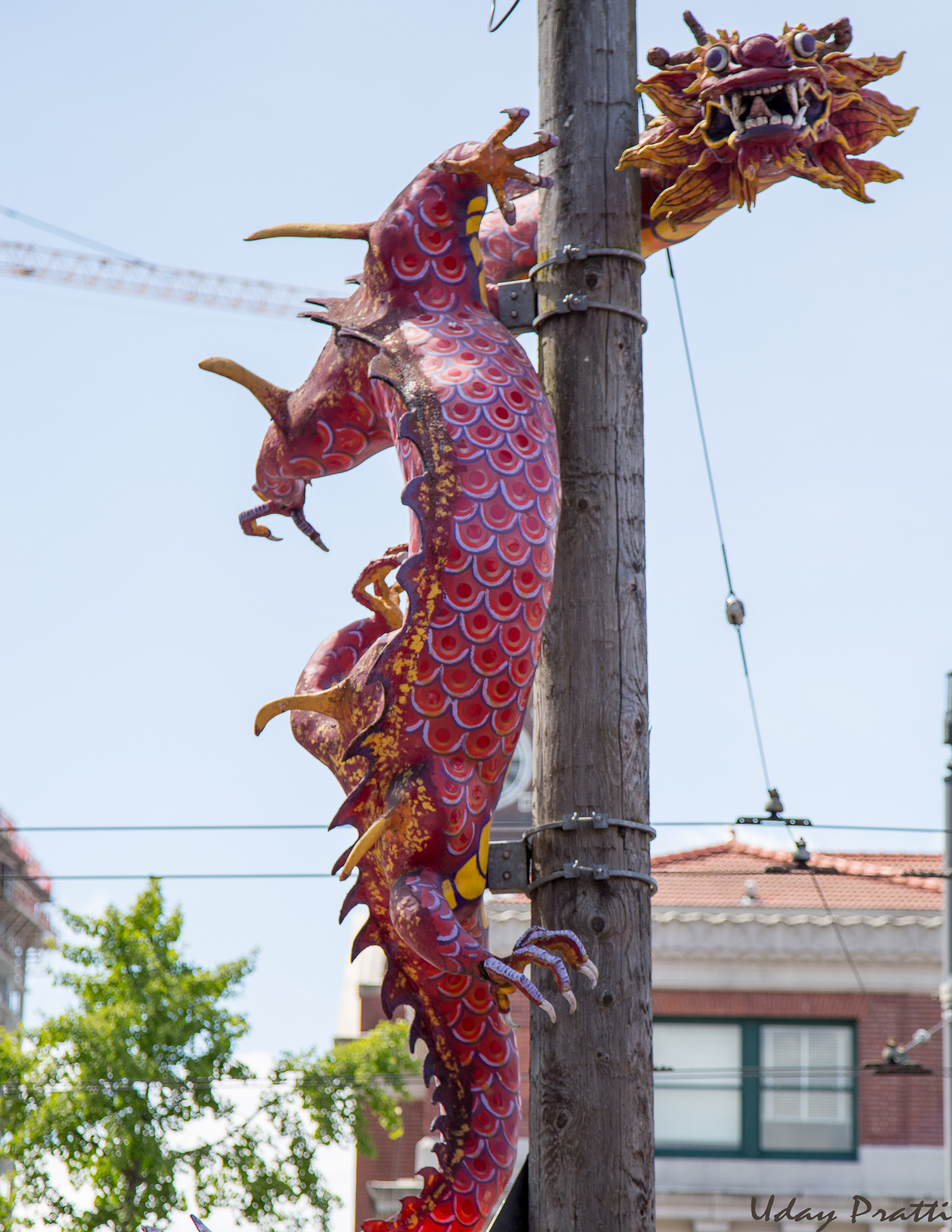 Dragon flexing its muscles in China Town