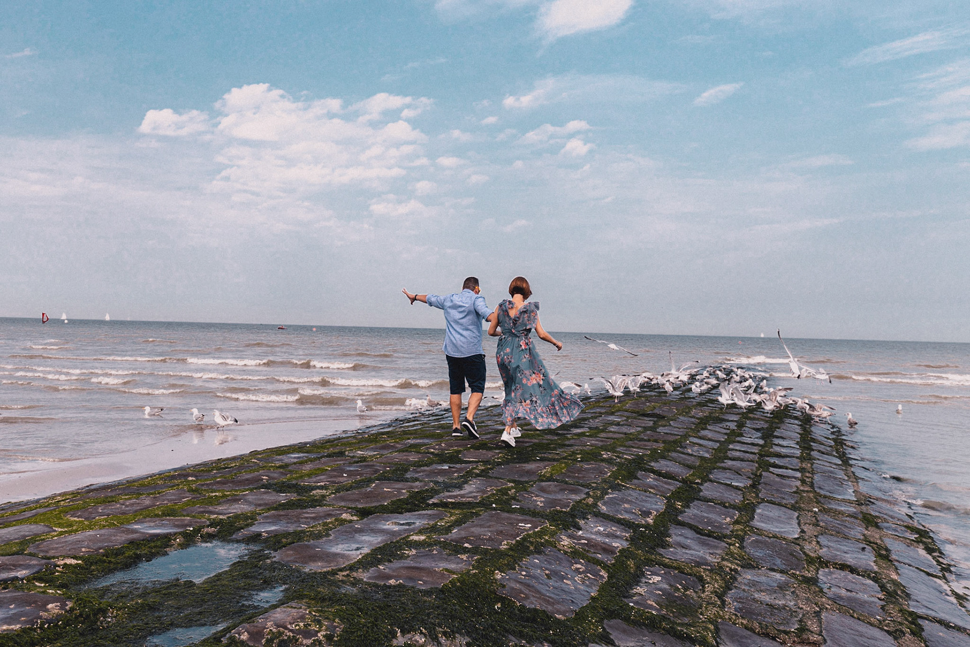 meeuwen achterna hollen tijdens fotoshoot