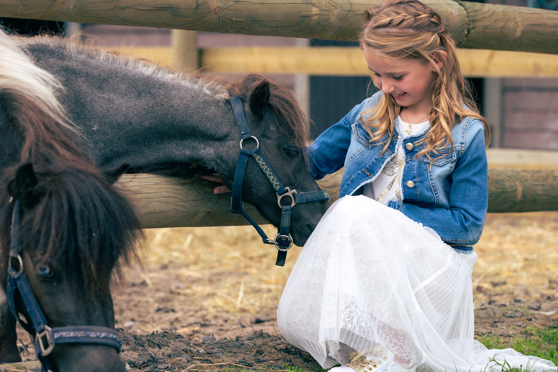 Fotosessie met pony