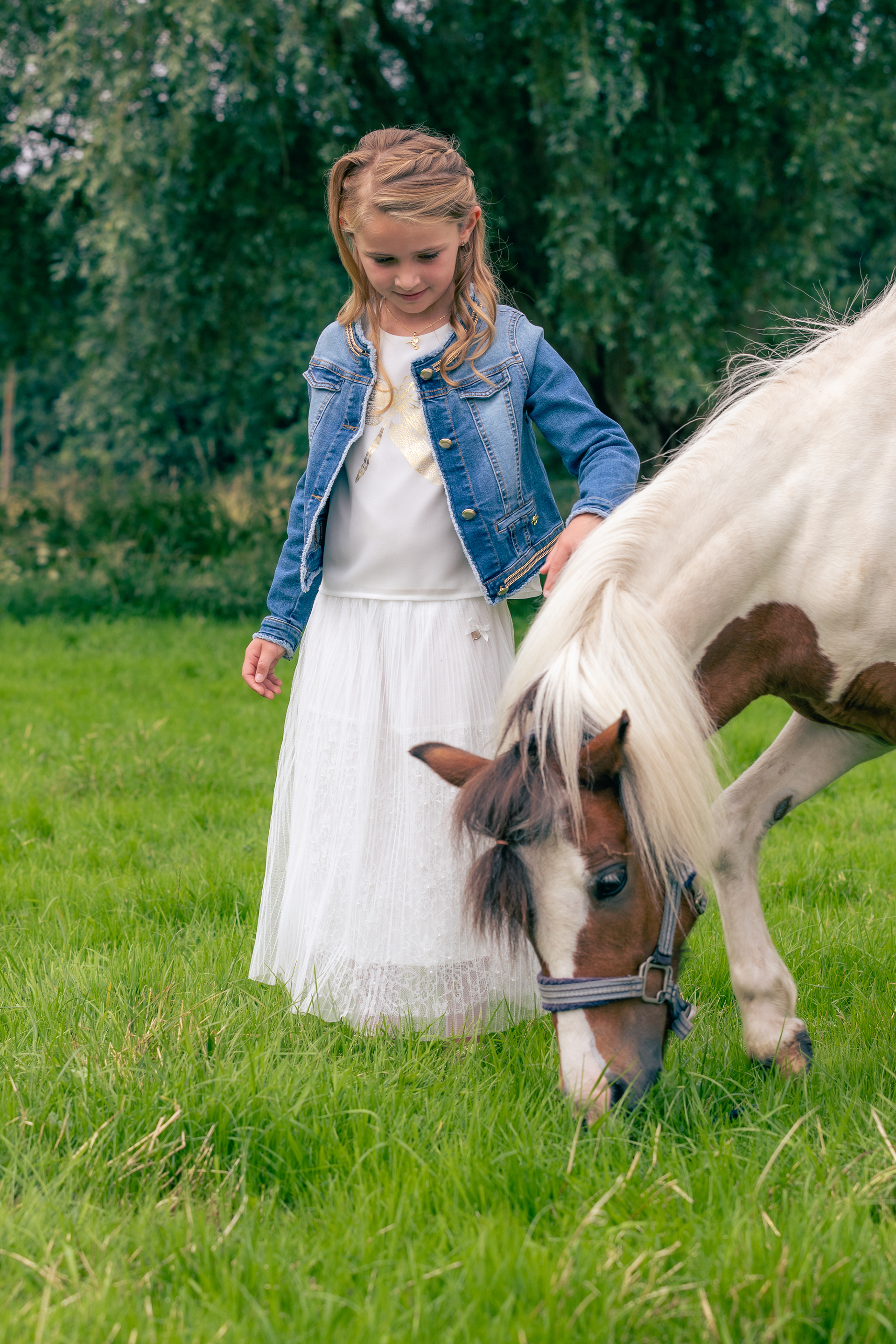 grazende pony in de wei