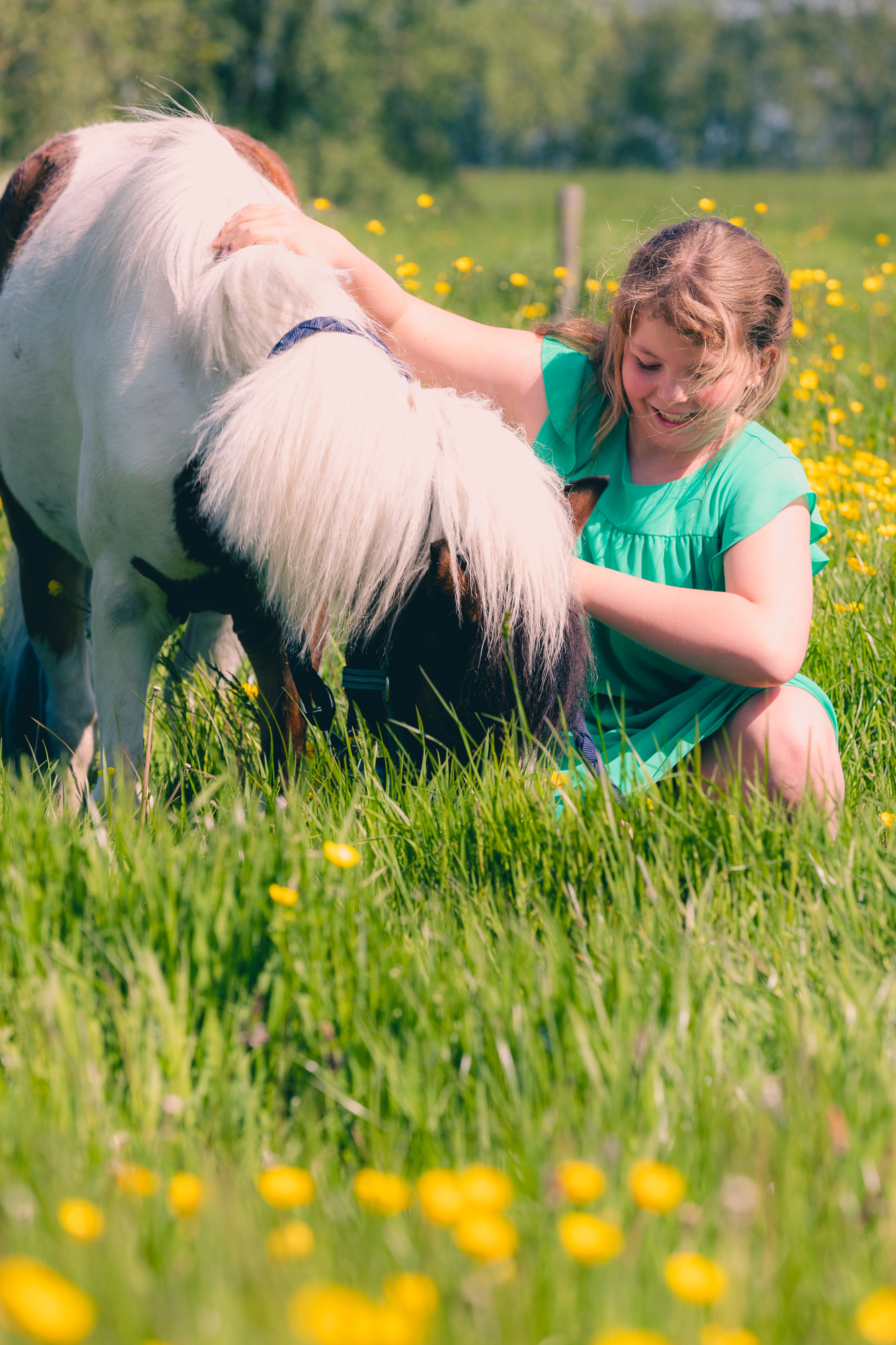 communiefoto meisje met pony in het gras