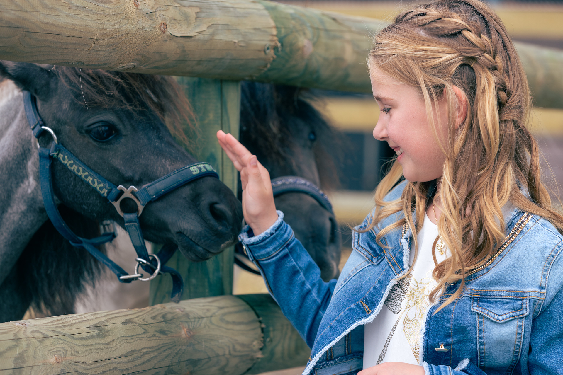 Pony aaien communie