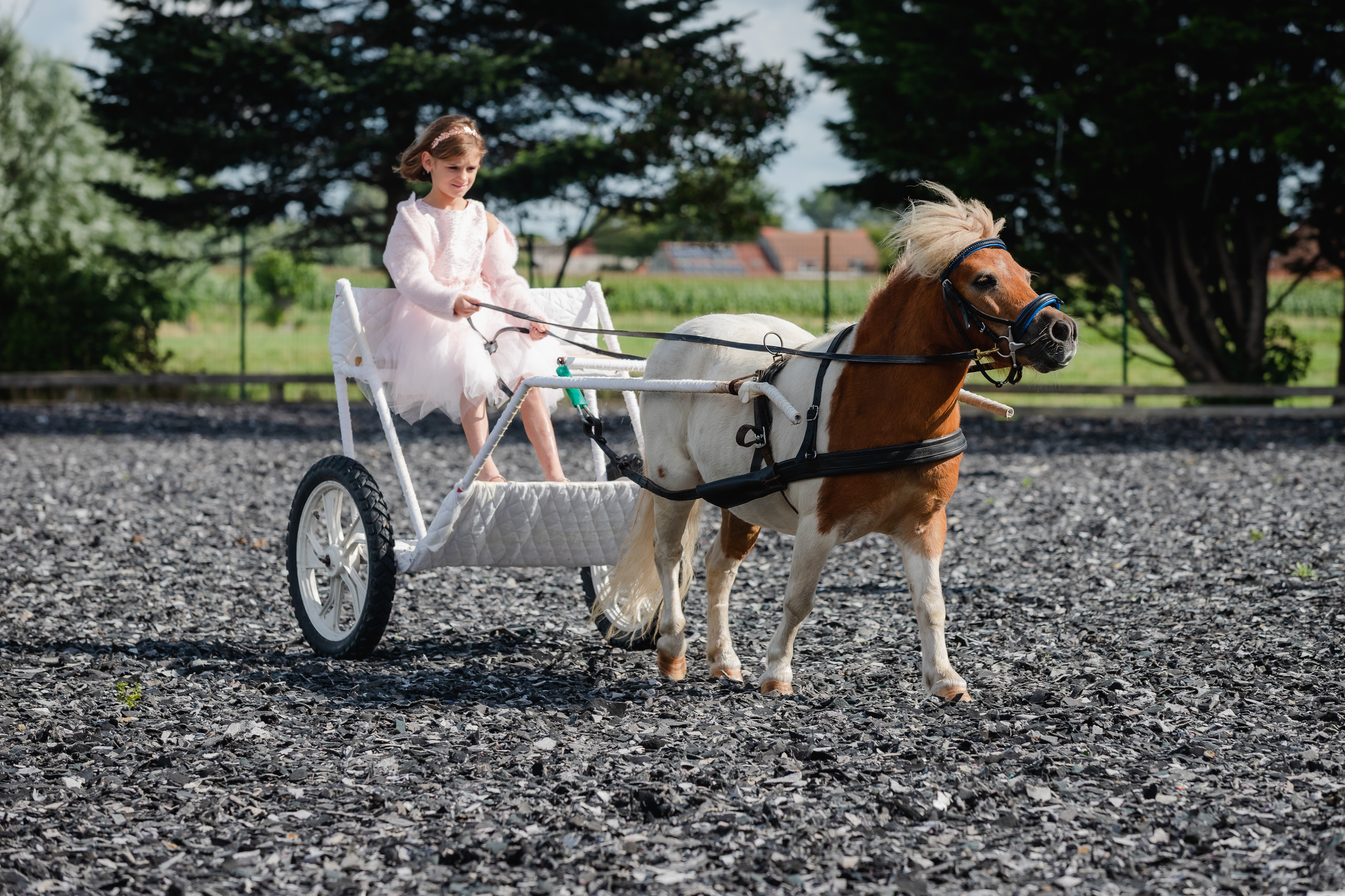 pony besturen tweewieler