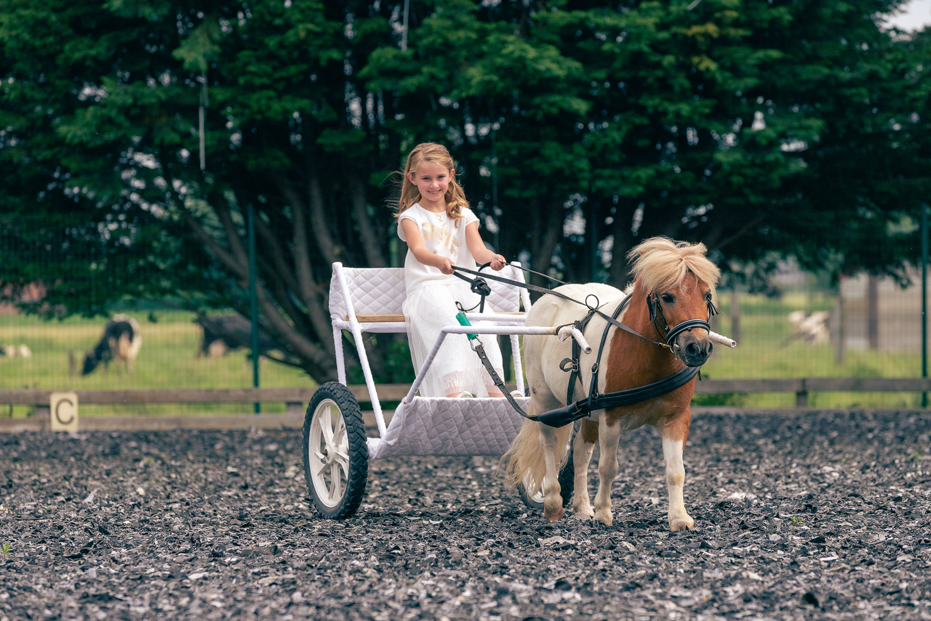 foto met pony