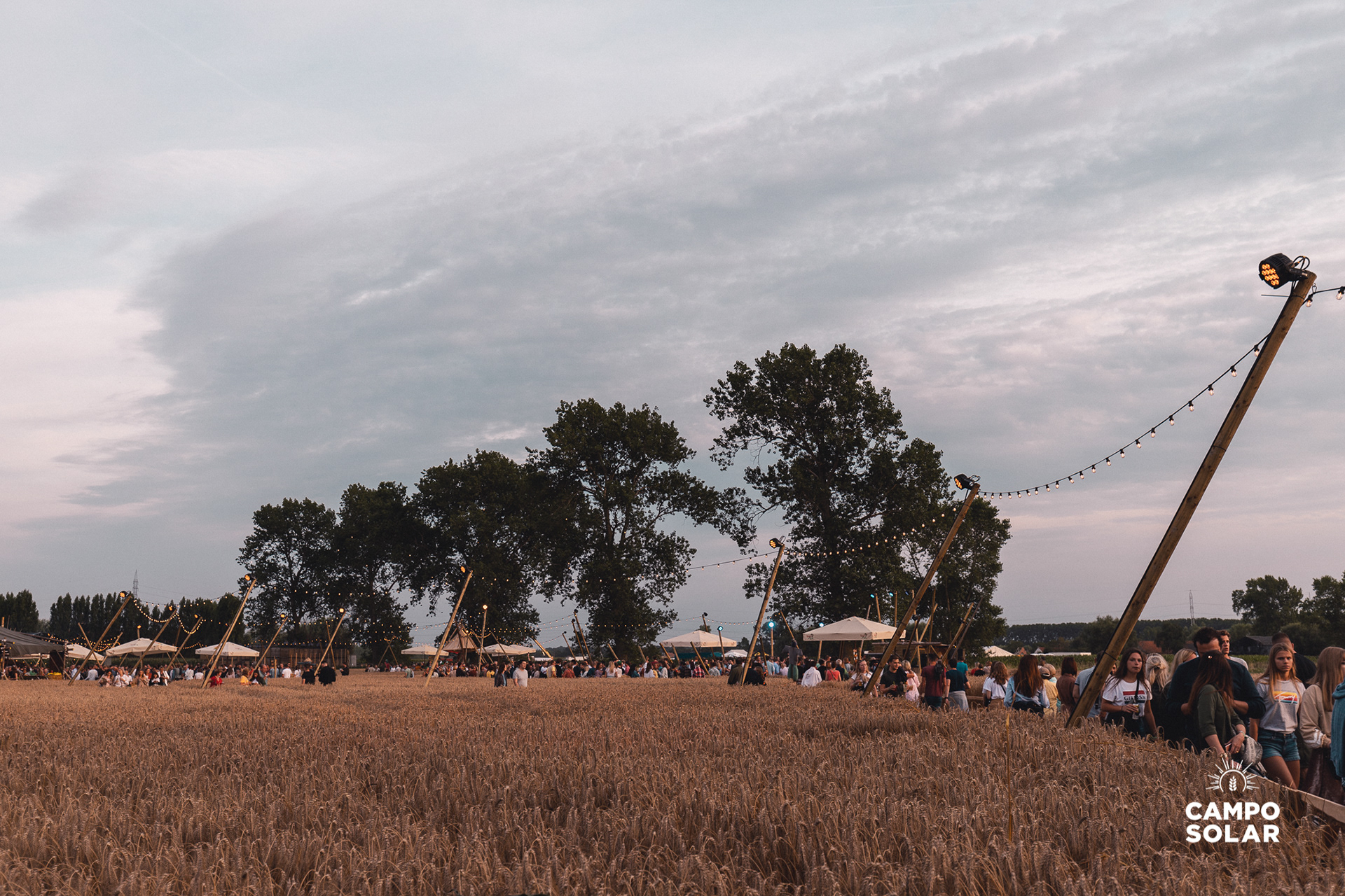 Overzichtsfoto van tussen het graanveld