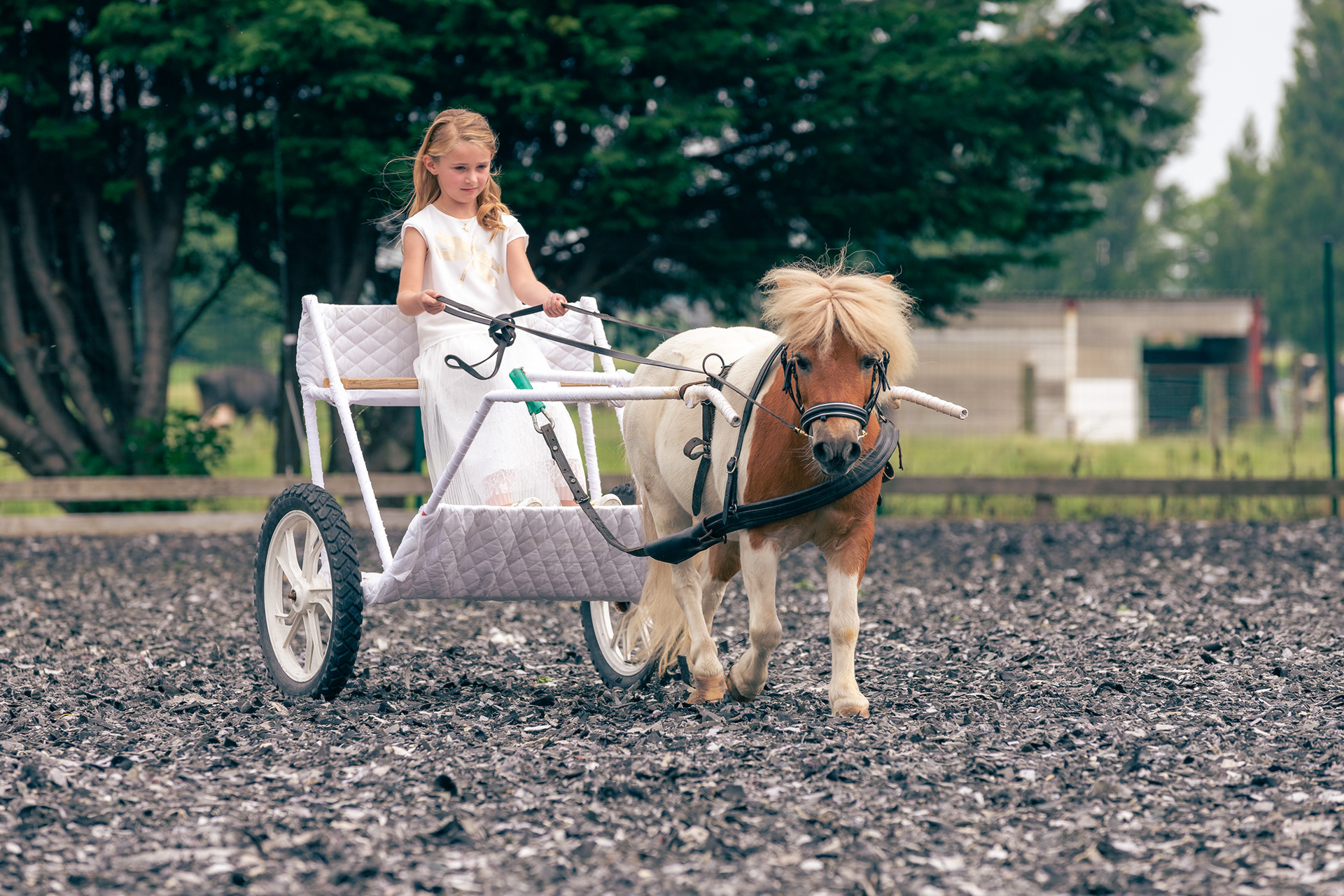 plezante fotoshoot met pony