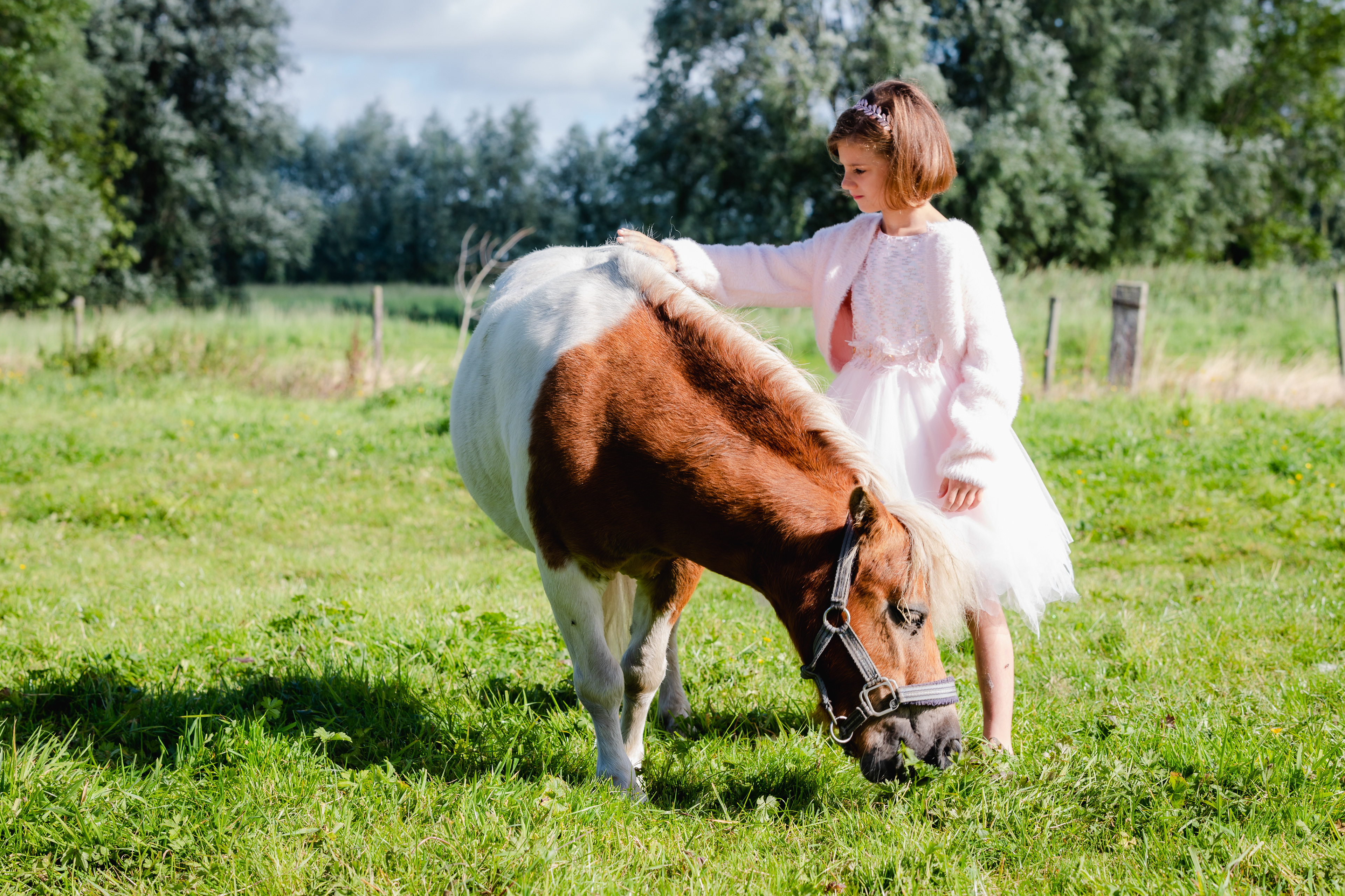 speelse fotoshoot met pony