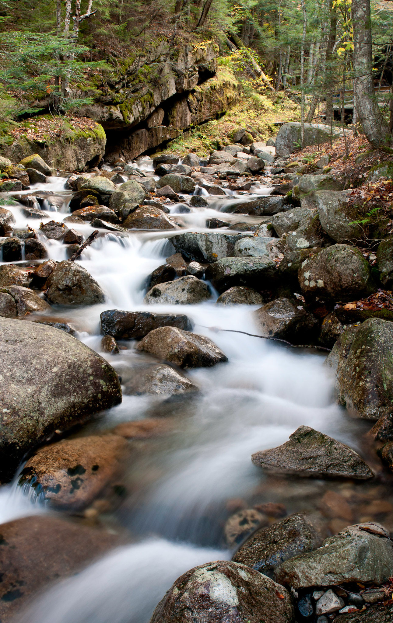 Castle Trail - 1