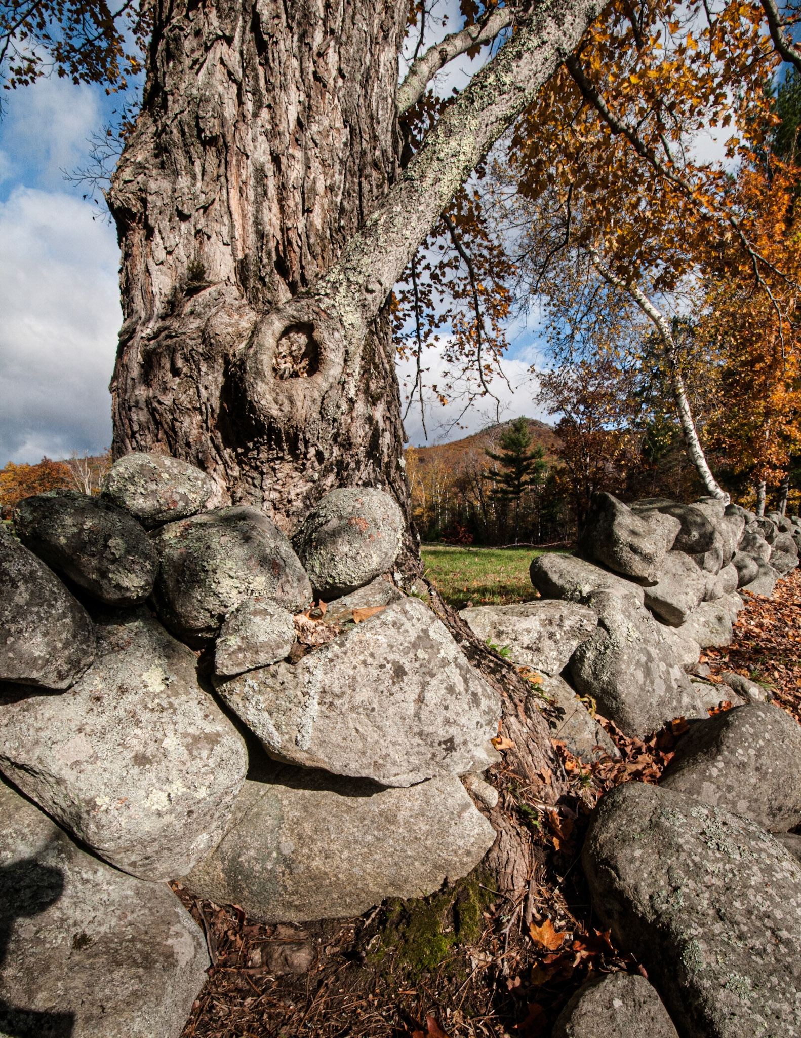 Stonewall in Autumn - 3