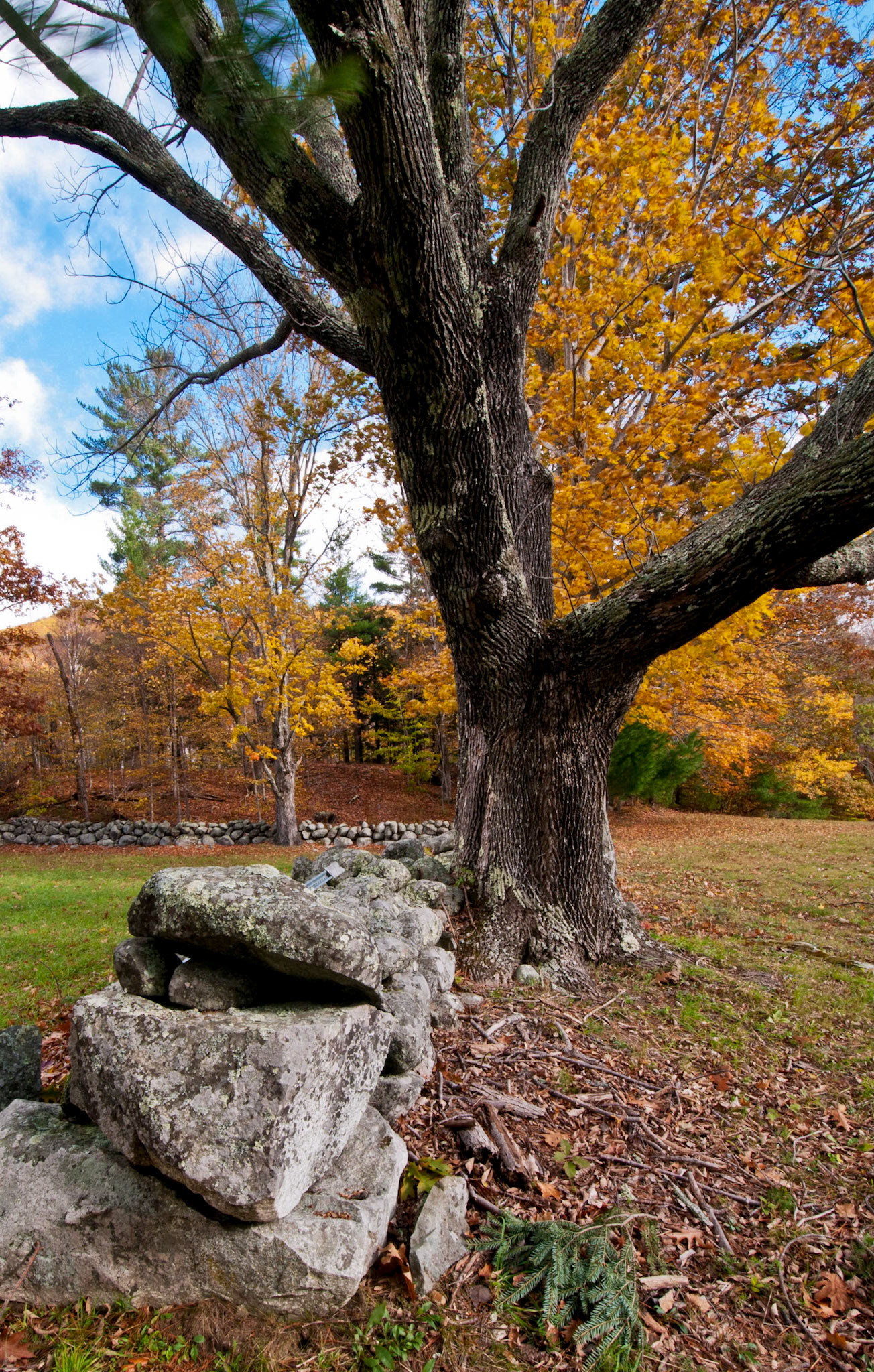 Stonewall in Autumn - 1