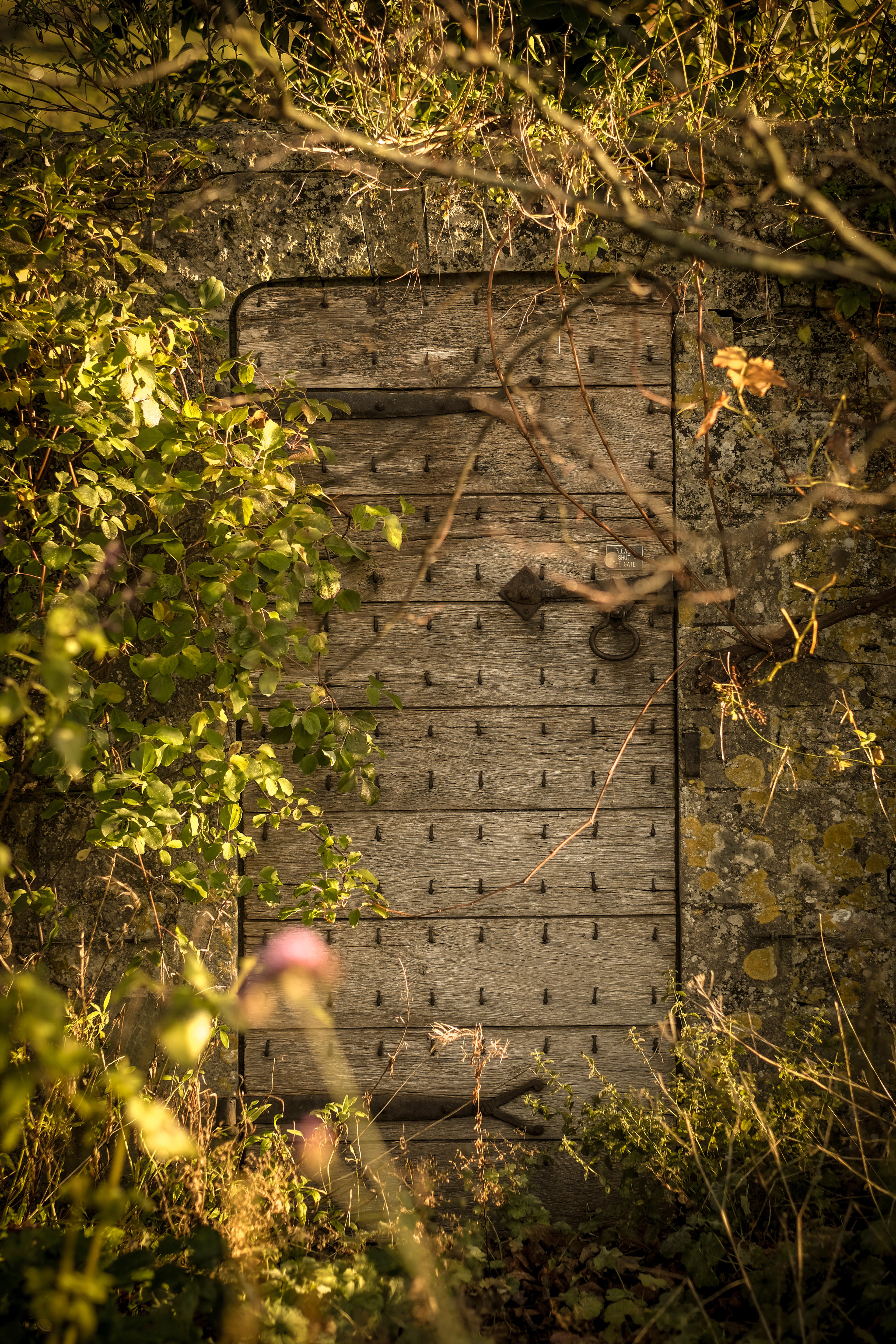 The Fonthill Estate