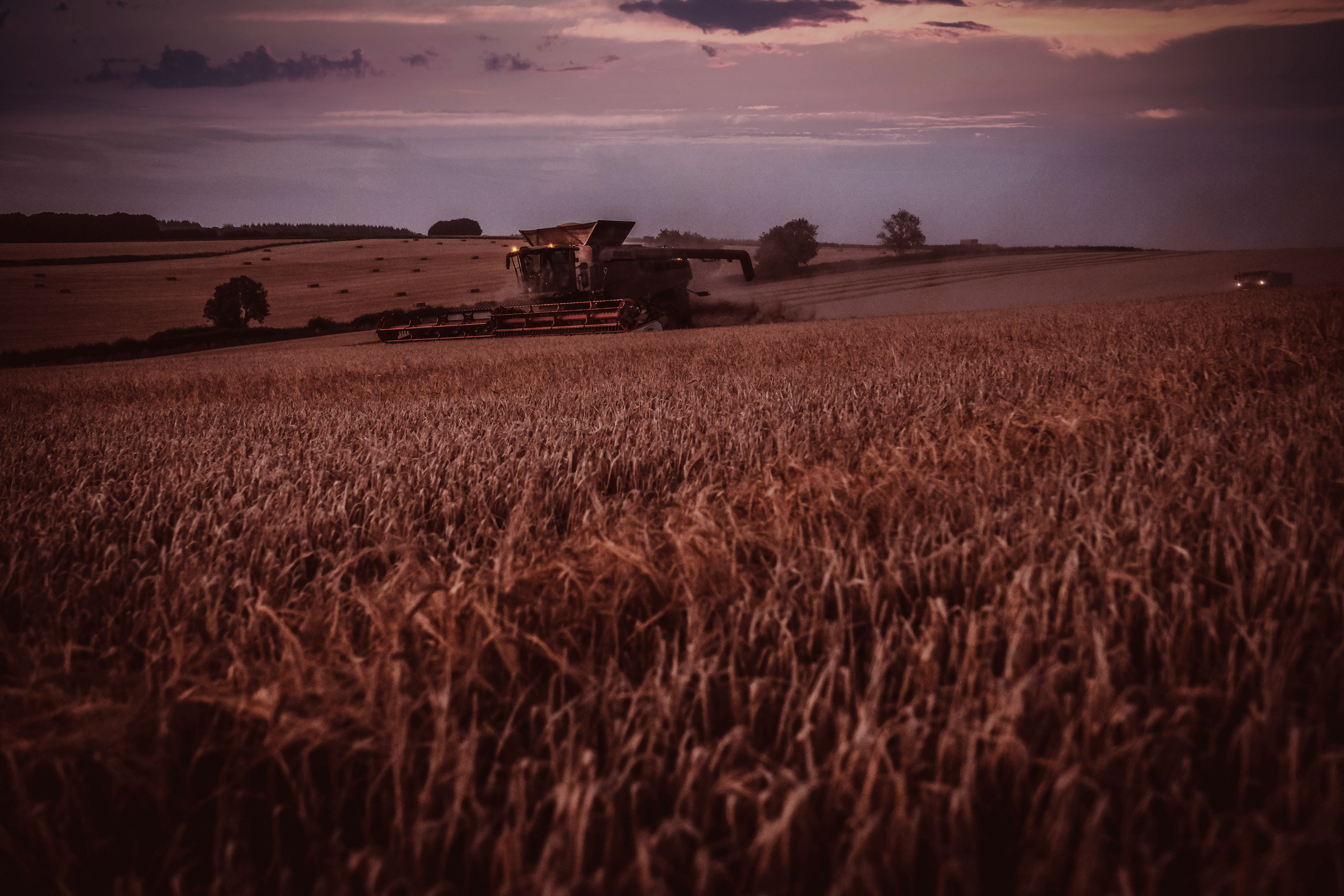 Harvest