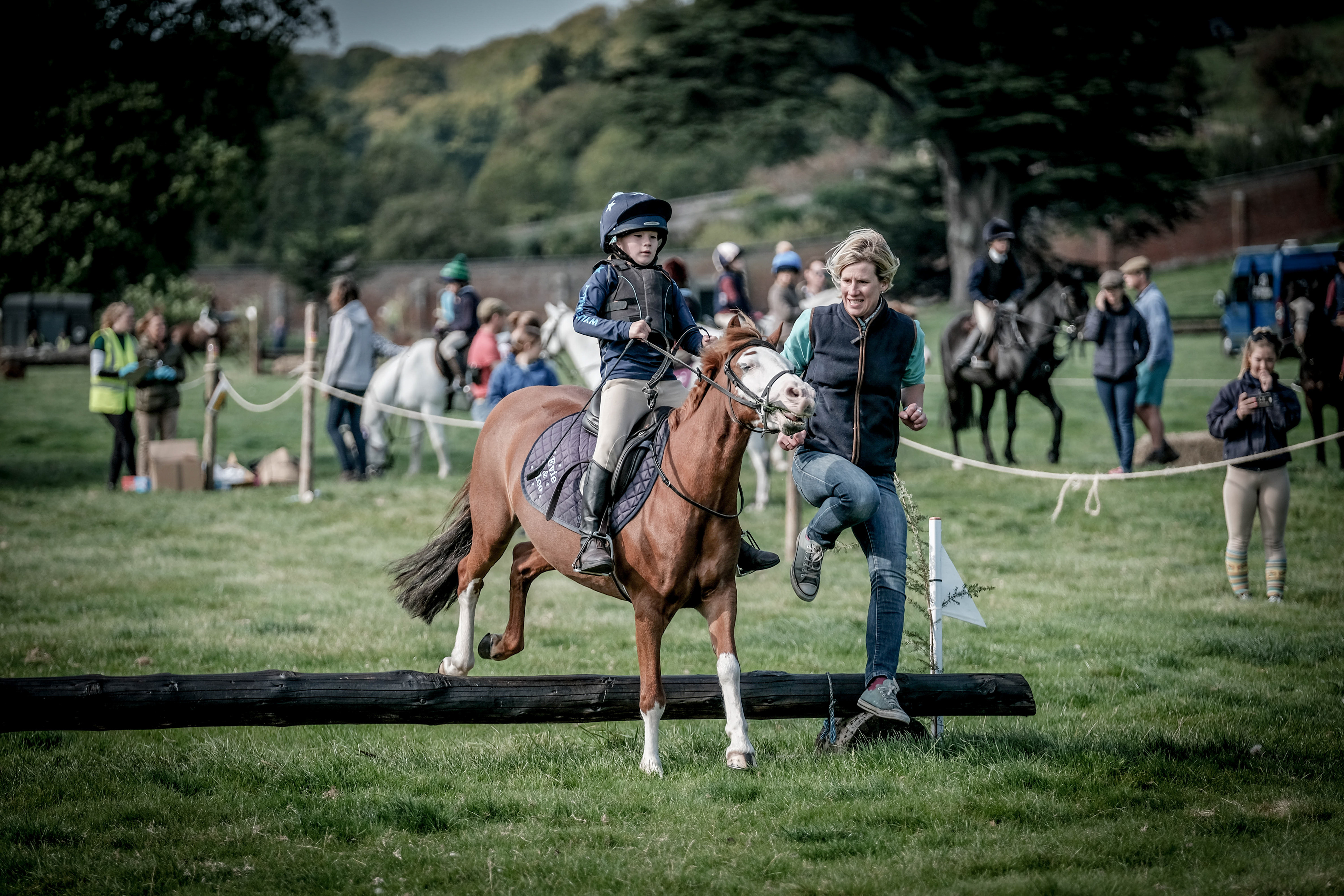 The Horse Show