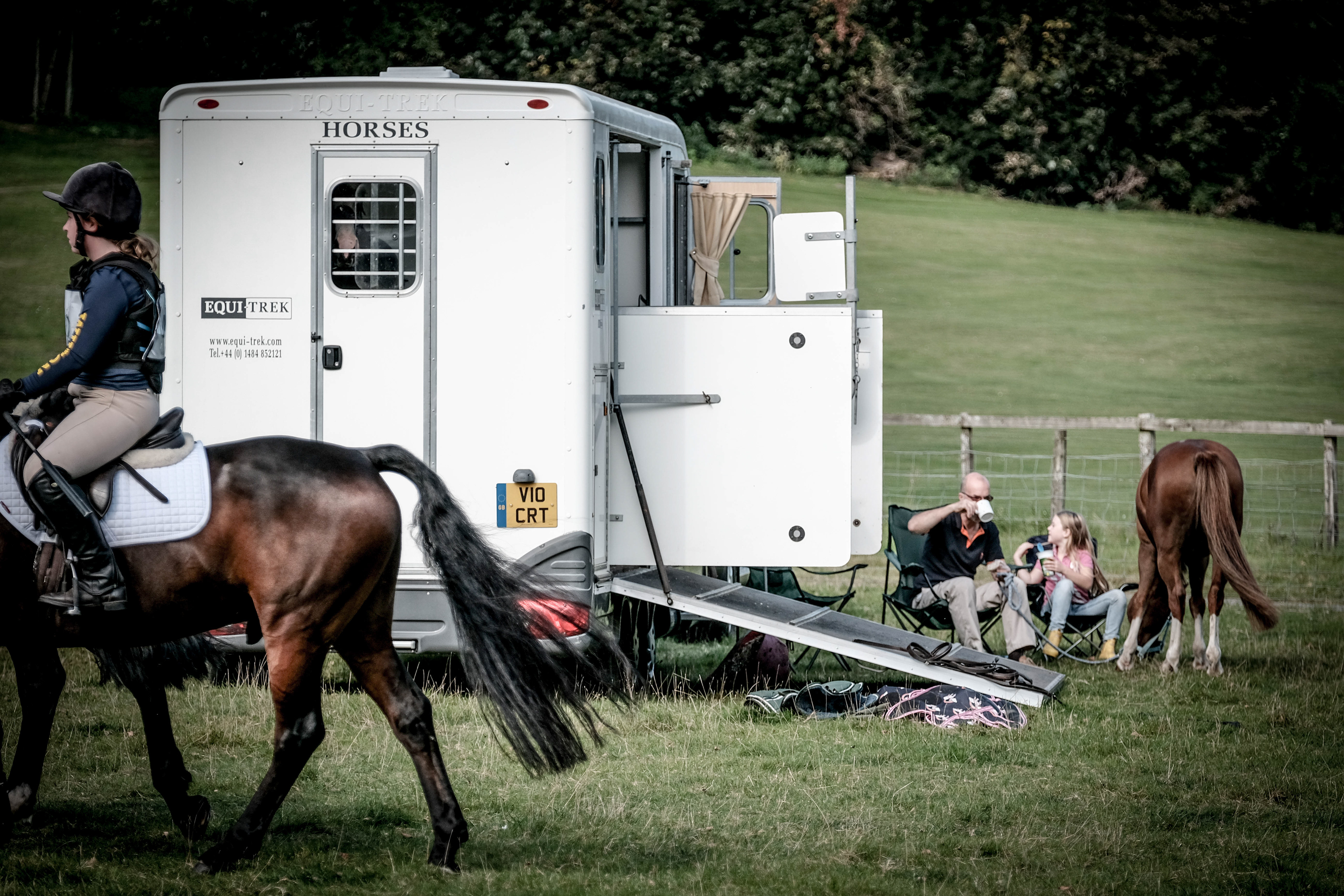 The Horse Show