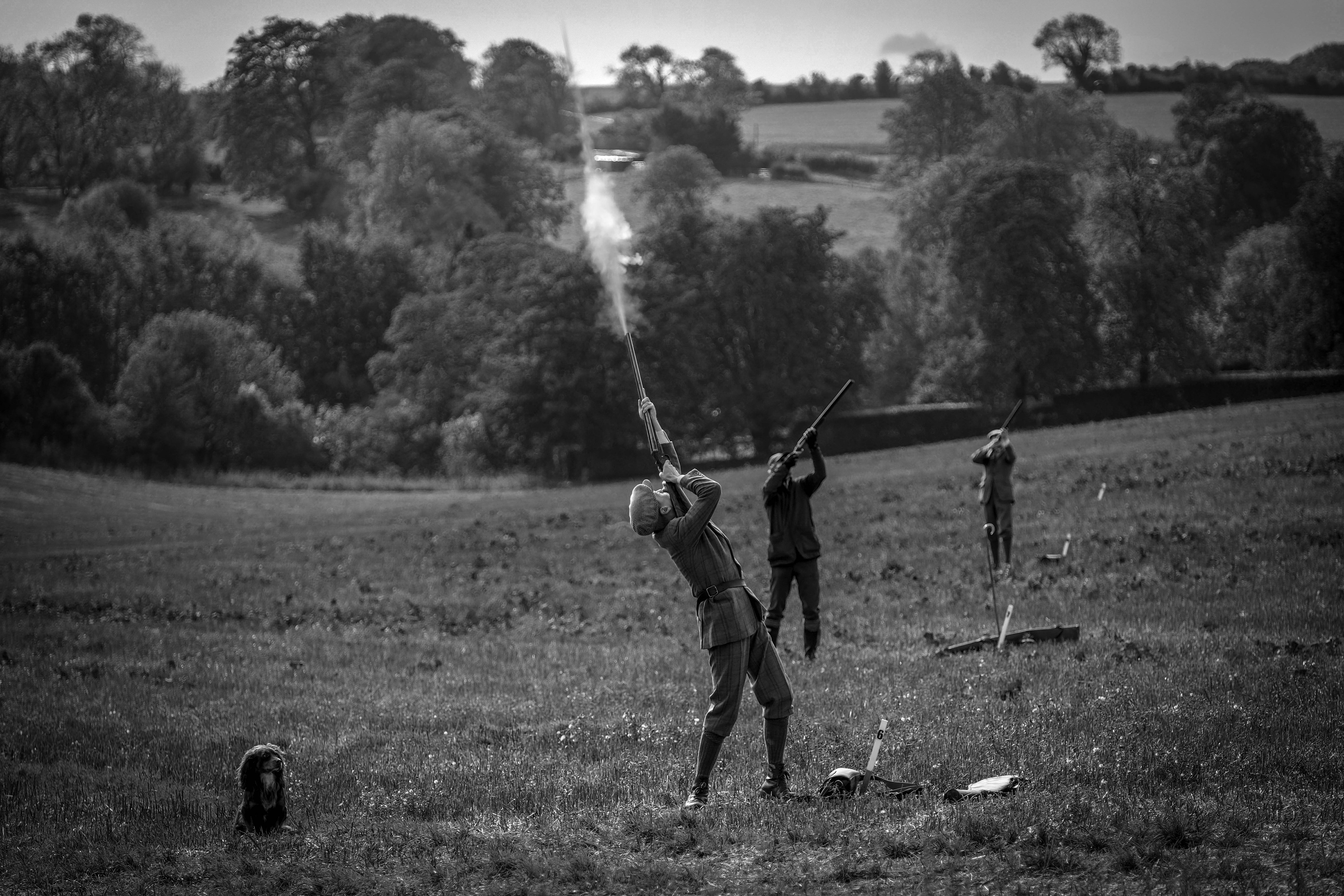 The Shoot