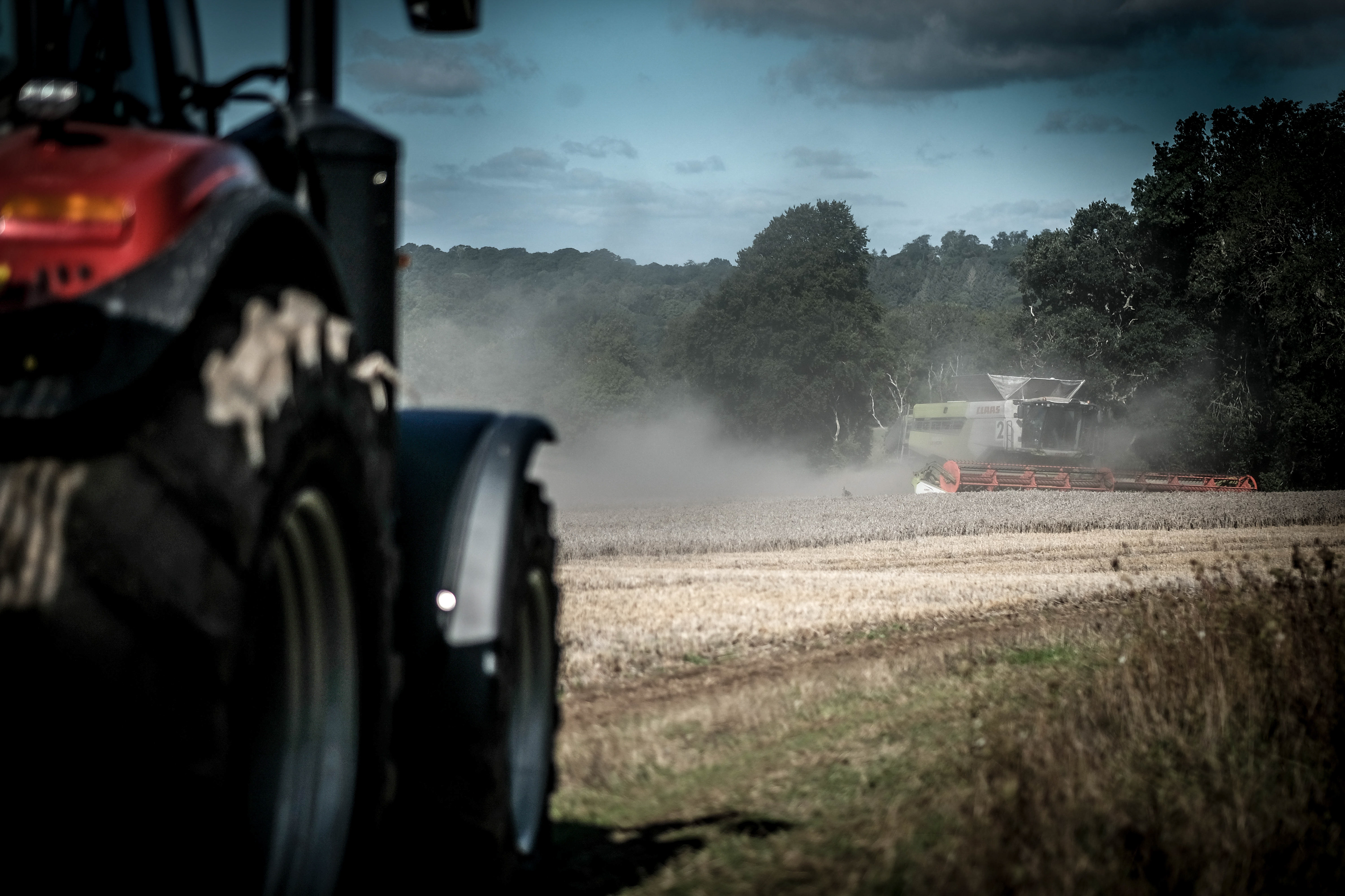 Harvest