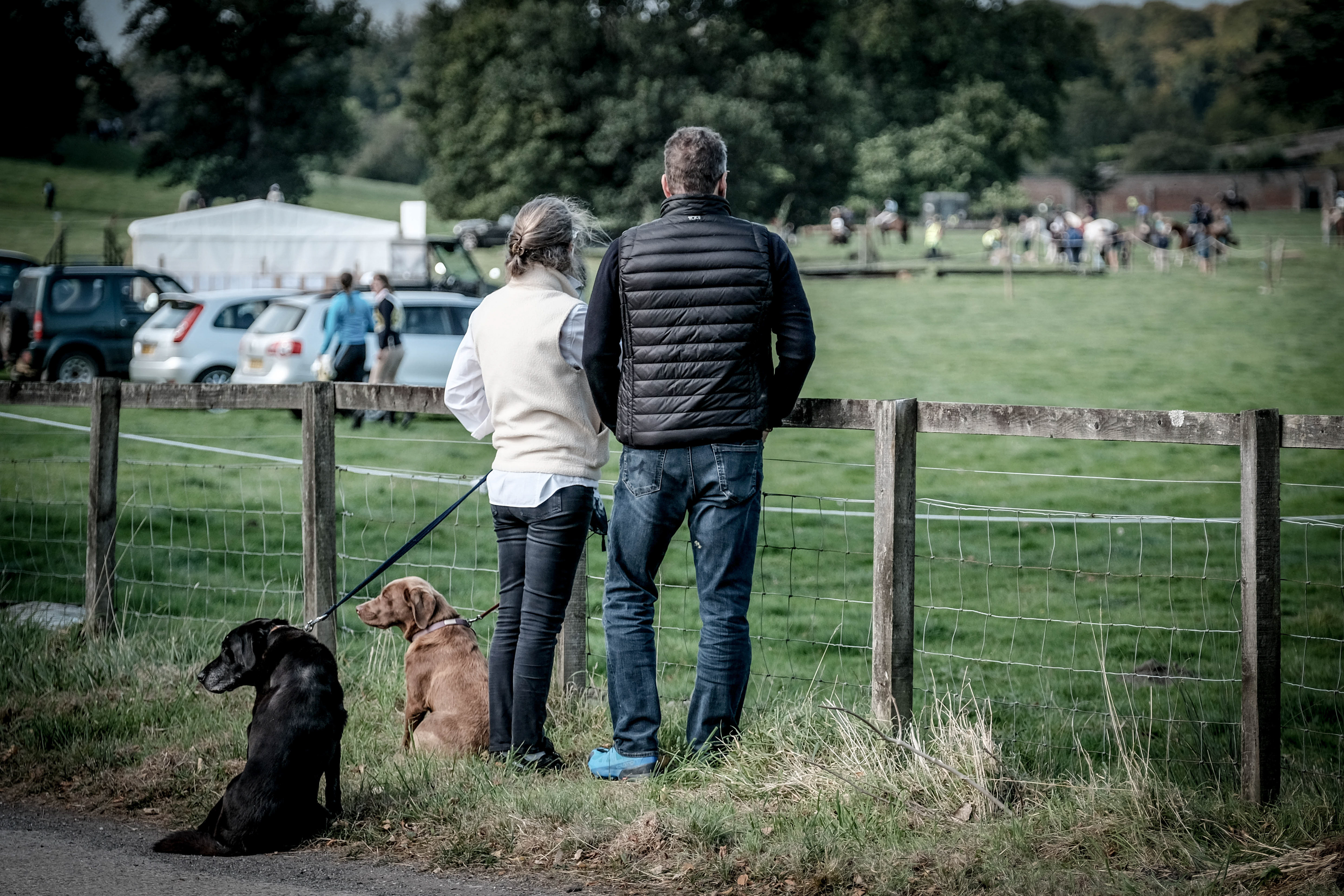 The Horse Show