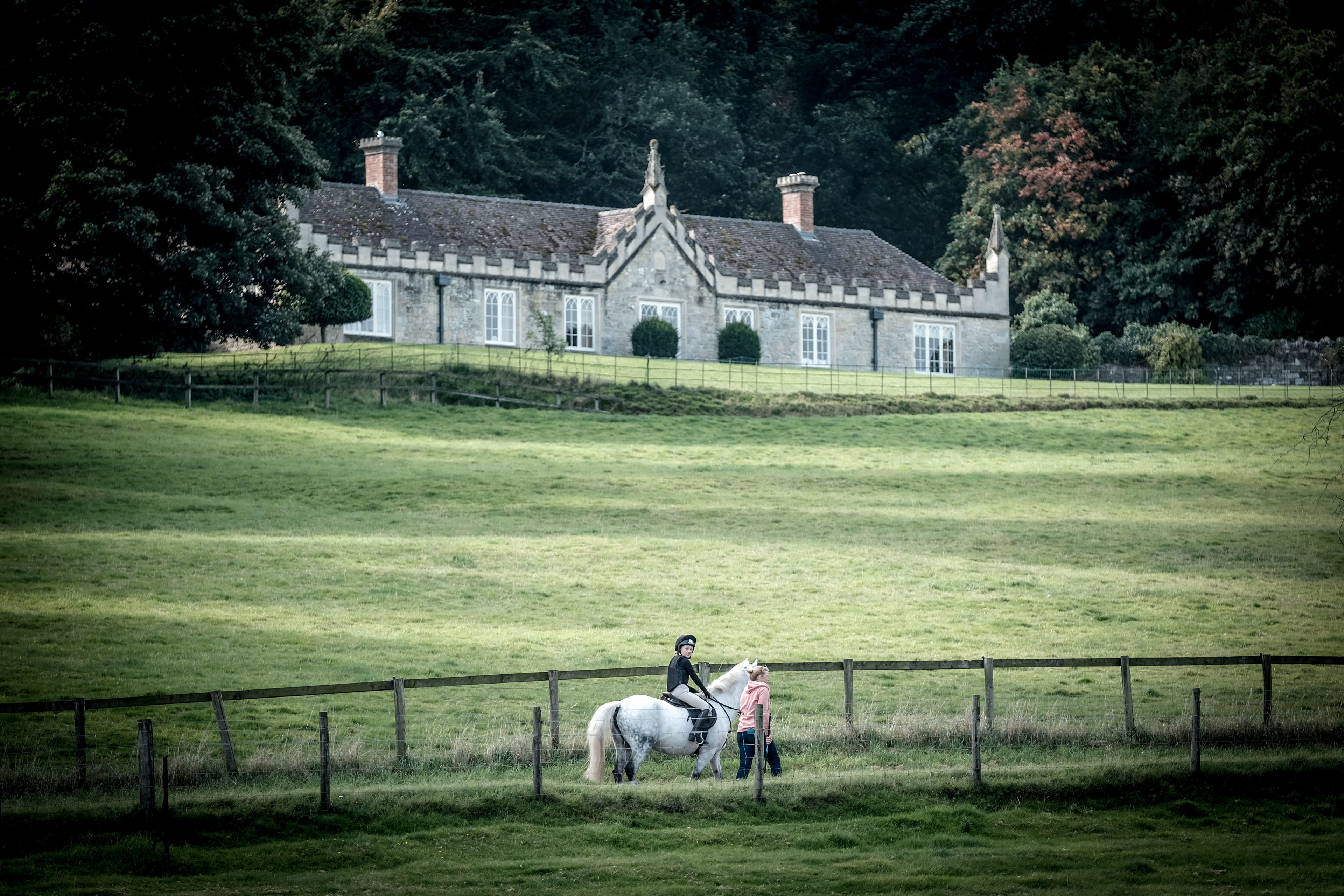 The Horse Show