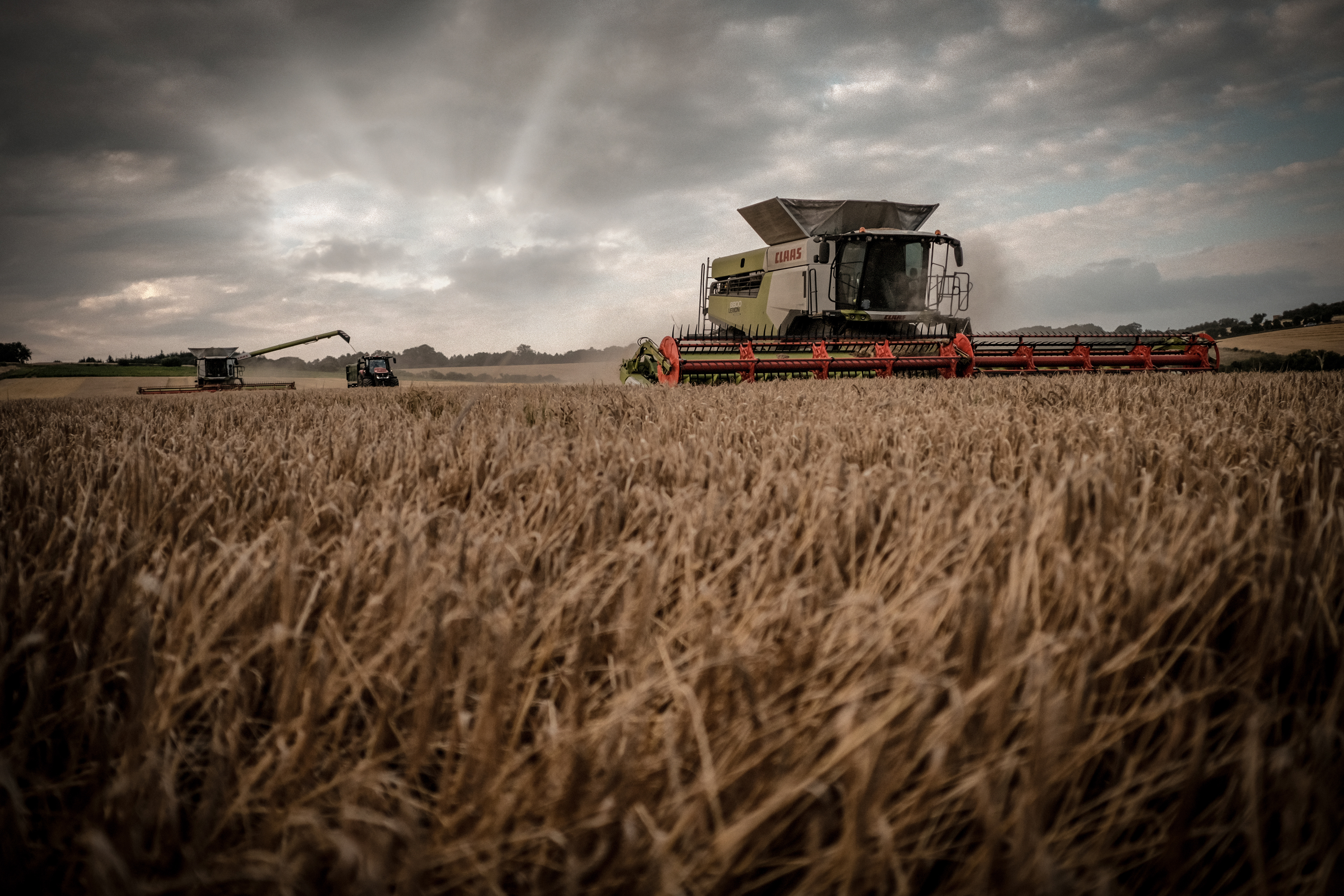 Harvest