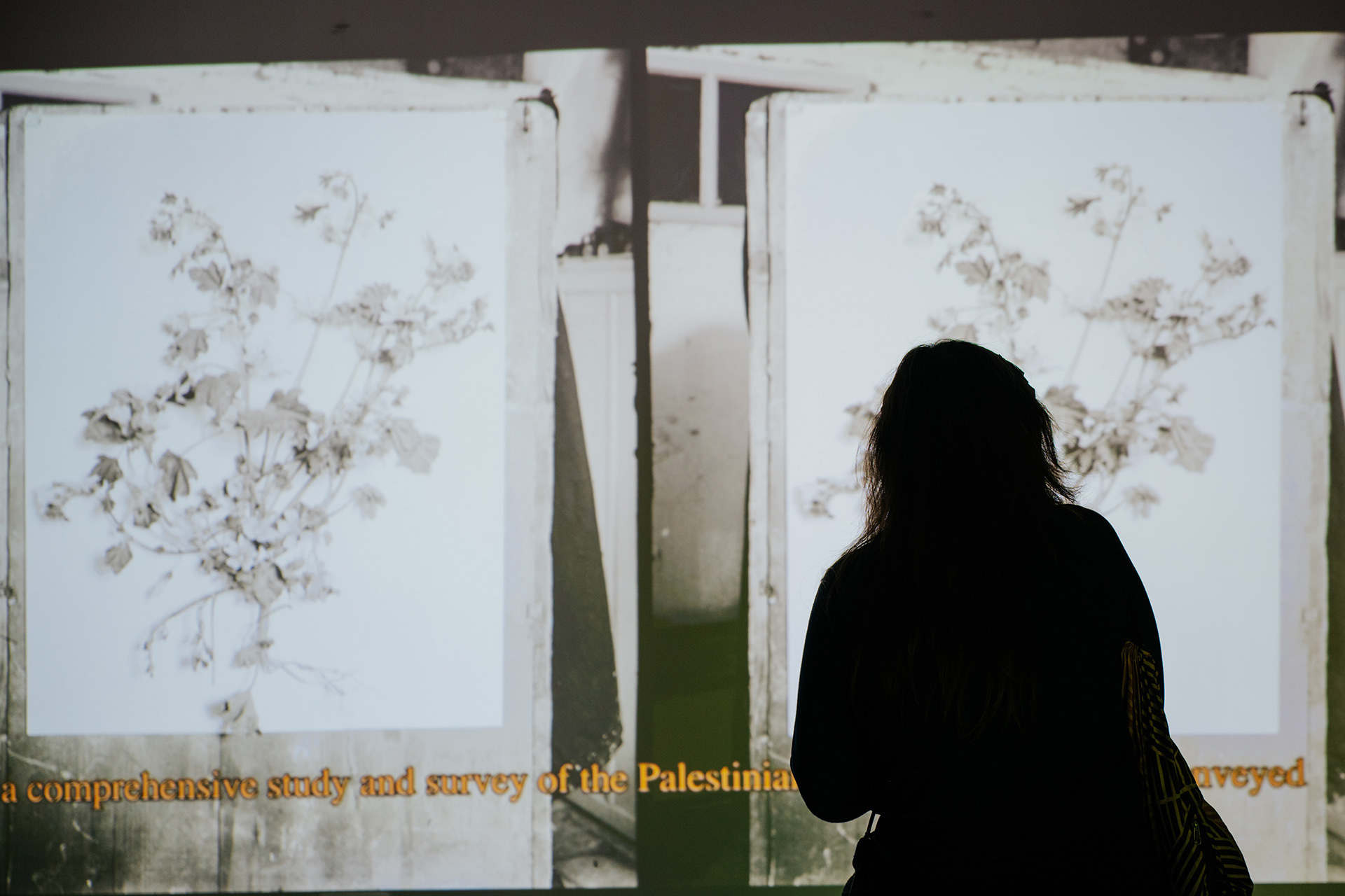 Landscape, disrupted, Concordia, Enschede, 2025. Photo: Mauro Meijer.