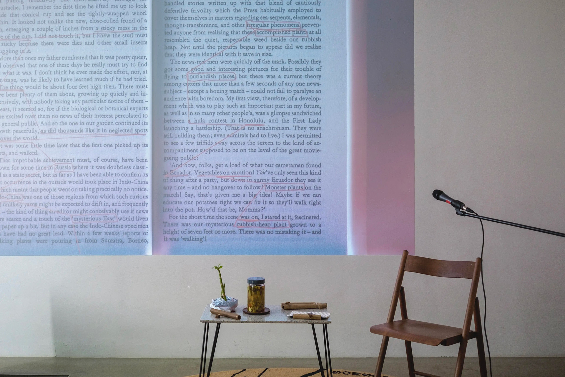 [2] Pickle Bar, Berlin, 2025. Photo: Monika Karczmarczyk