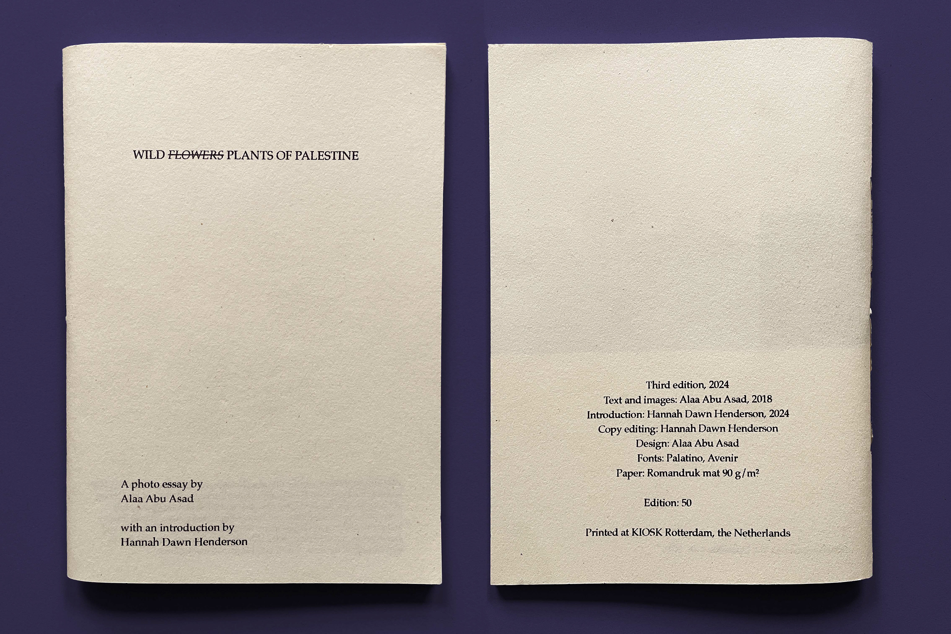  Photoessay, 2018, 3rd ed., 50 copies, riso print, 20 X 14.5 cm (currently OOP)