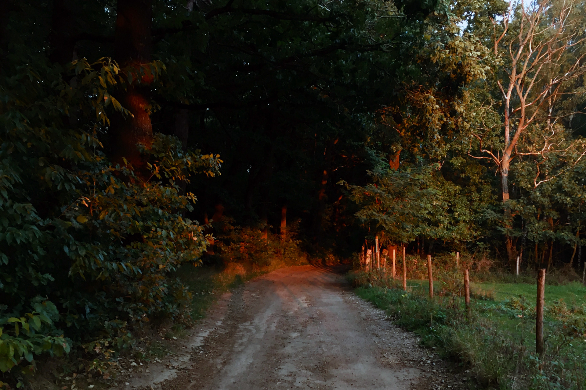 Sunset at the border: between the Netherlands and Belgium, 2020